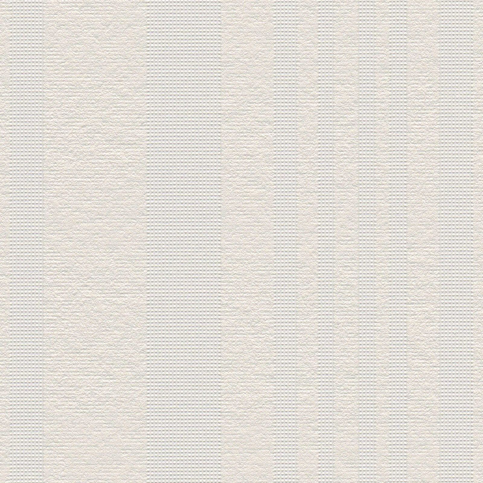 AS Vliestapete Meistervlies 8 überstreichbar 569813