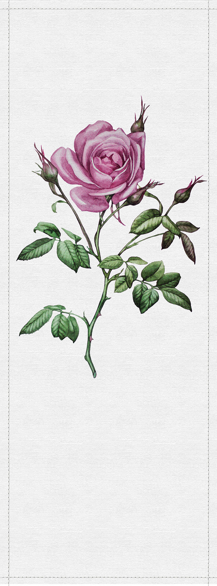 AS Fototapete Walls by Patel 2 Blumen DD114457 AS Fototapete Walls by Patel 2 Blumen DD114457