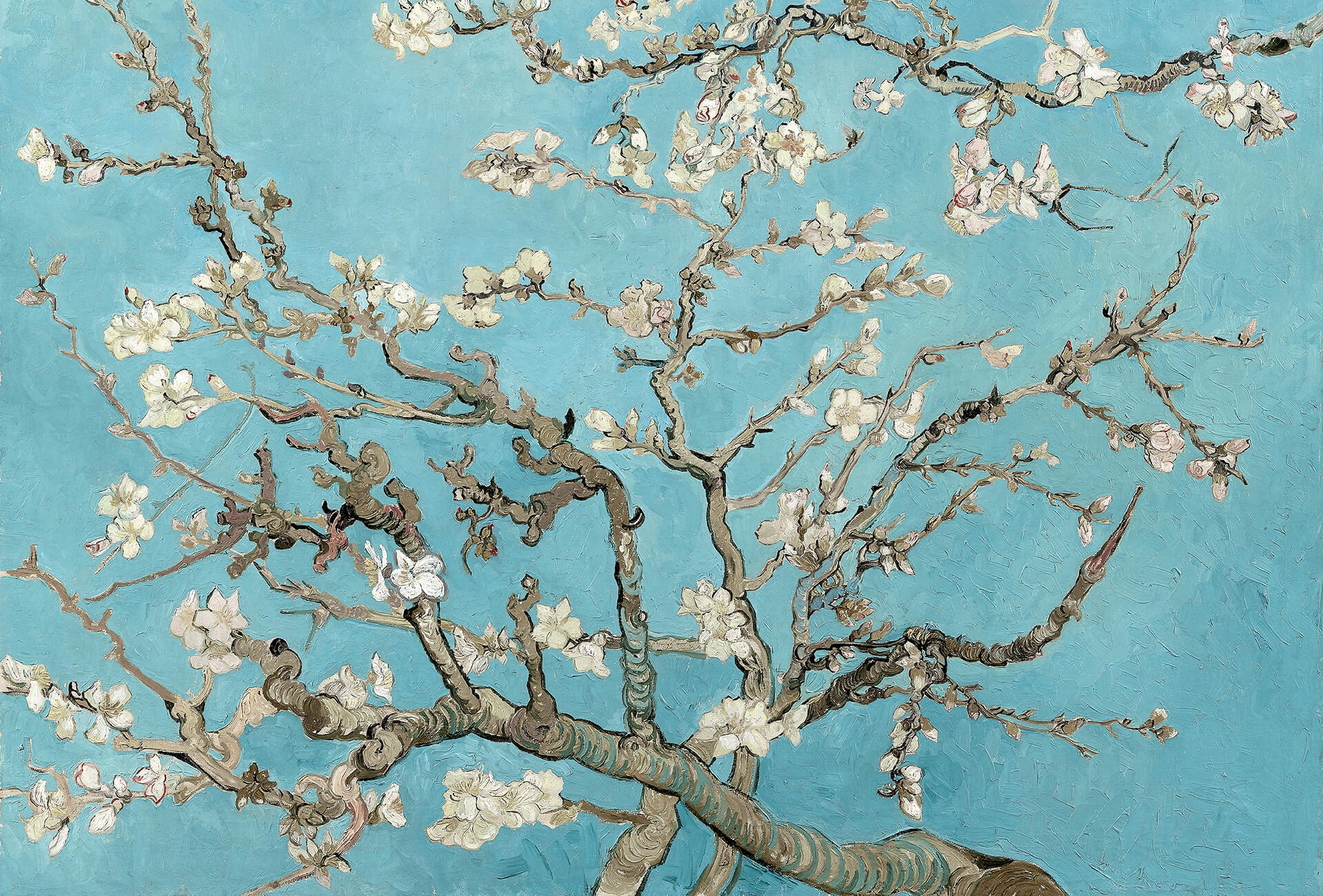 AS Fototapete Designwalls 2.0 van Gogh - Almond Blossom DD11 AS Fototapete Designwalls 2.0 van Gogh - Almond Blossom DD11