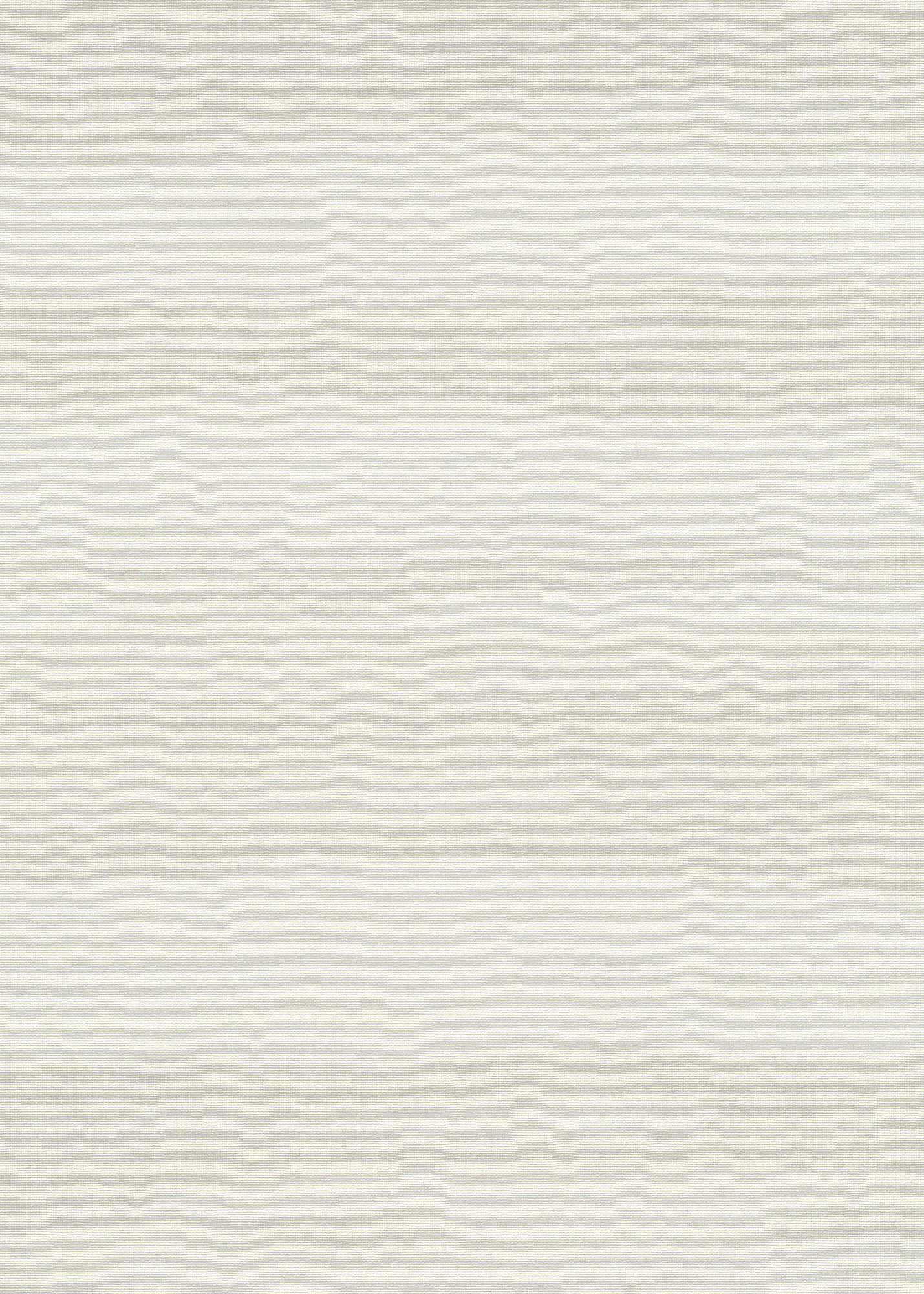 Erismann Vliestapete Aurora Grafiktapete 1051502