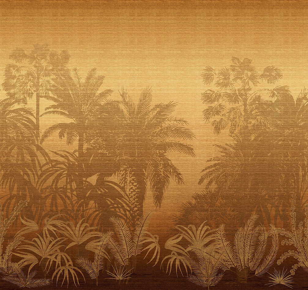 Masureel Fototapete Amazone Awarra Sunrise DGZON1031260