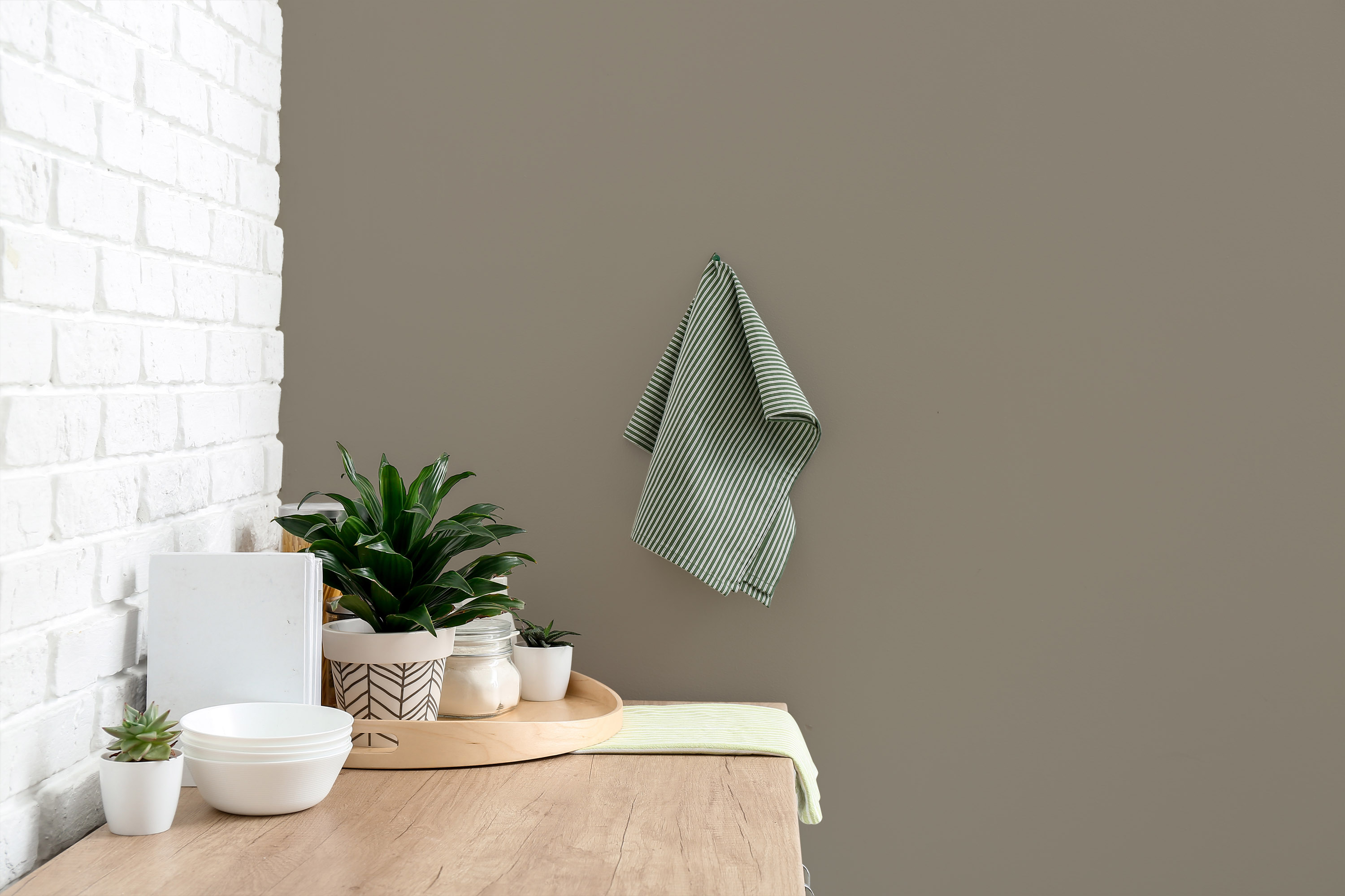 AS Wandfarbe The Color Kitchen TCK1020 Aesthetic Ajwain 2,5