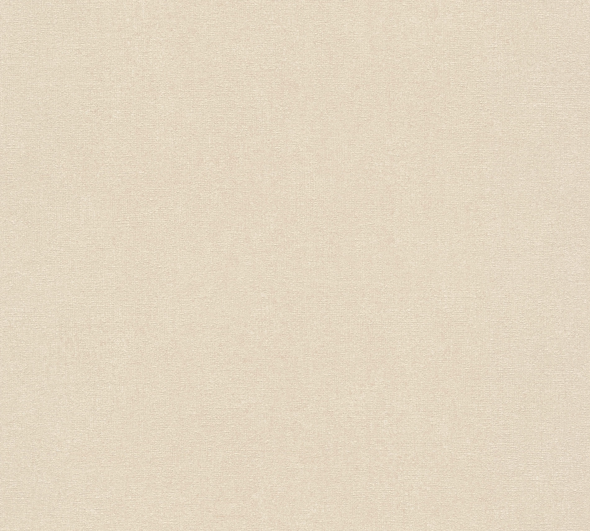 AS Vliestapete Terra Uni creme 389254