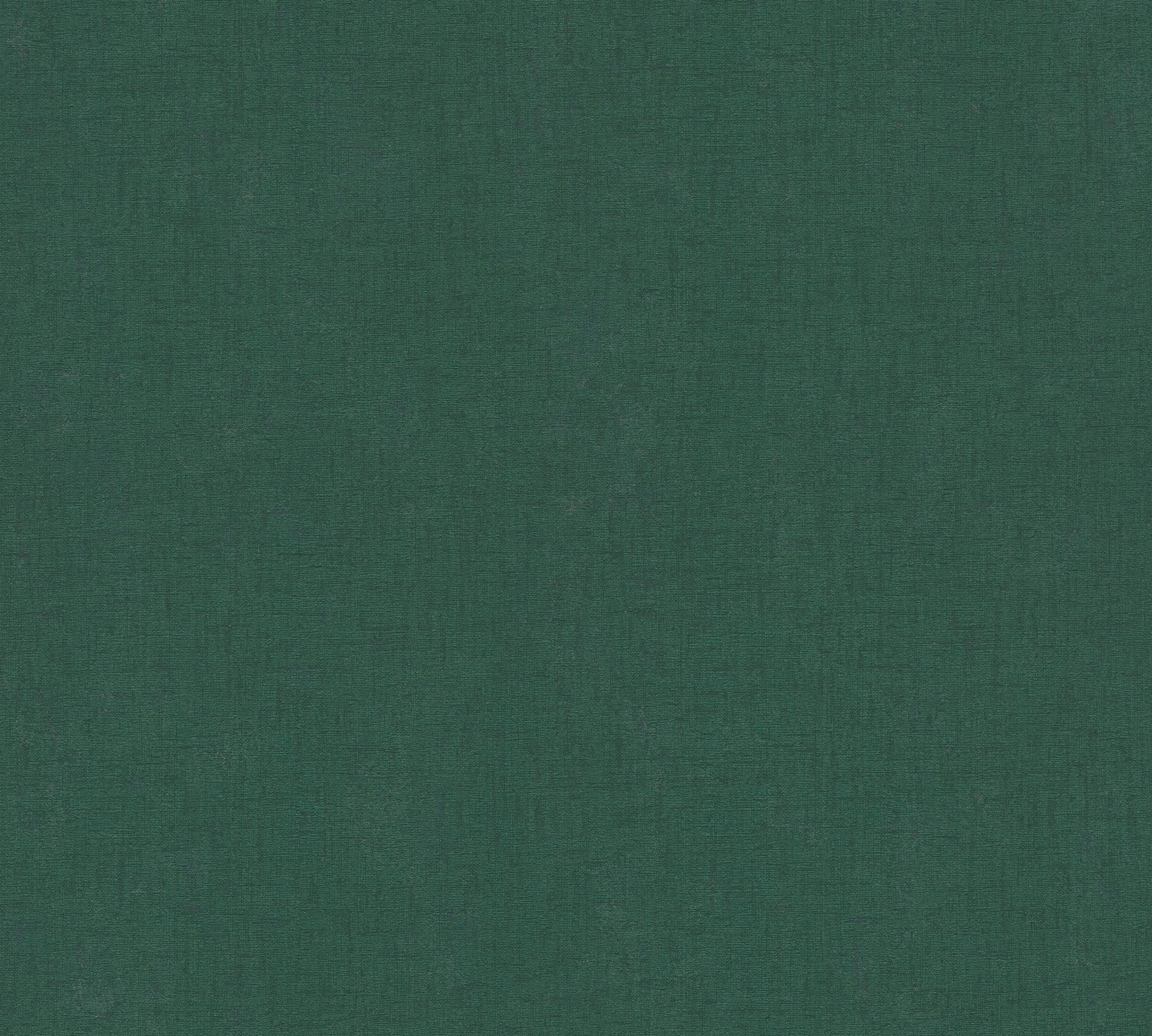 AS Vliestapete Casual Living Grün Unitapete 393395 AS Vliestapete Casual Living Grün Unitapete 393395