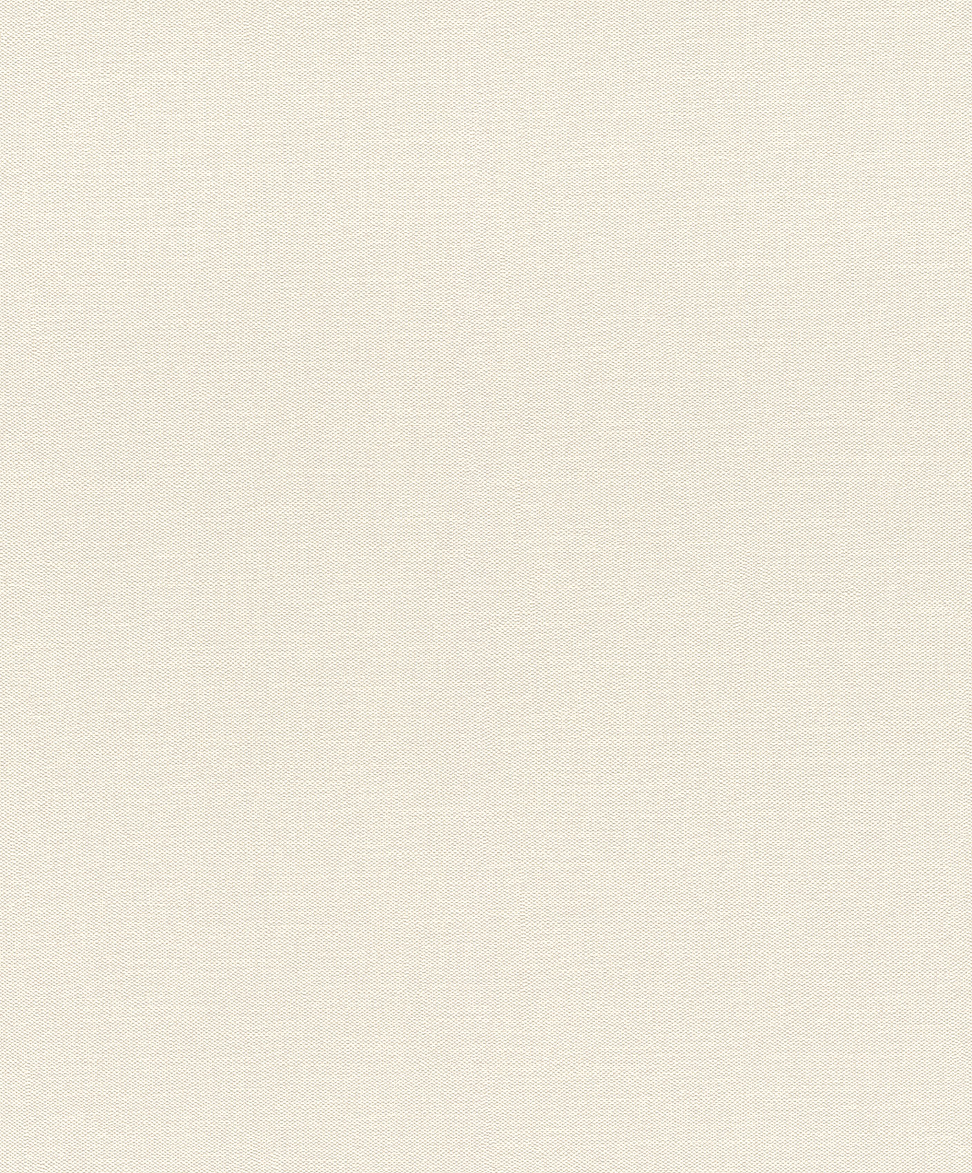 Rasch Vliestapete Color Your Life Unitapete 633351