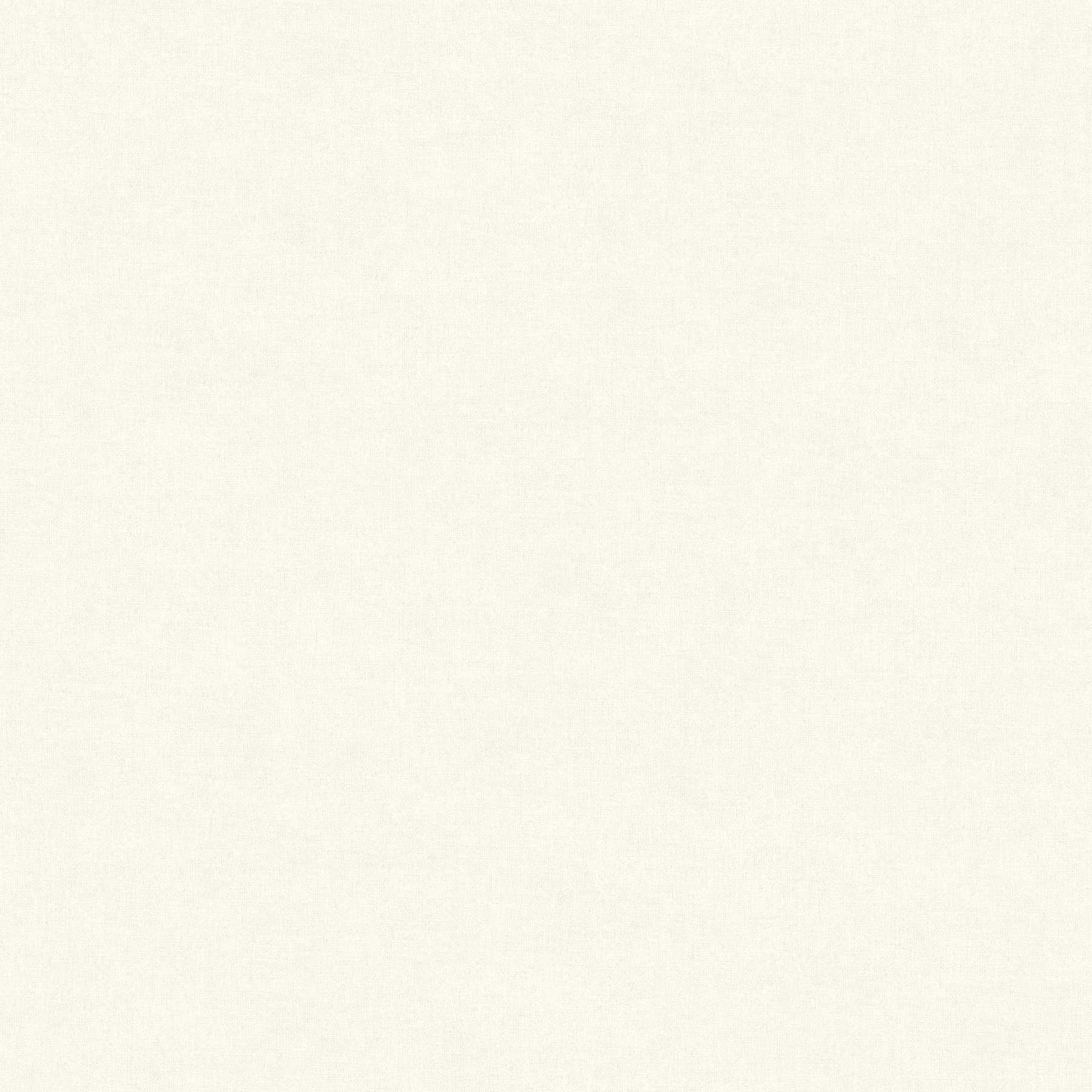 AS Vliestapete MS Hot Spots Unis Weiß 367201 AS Vliestapete MS Hot Spots Unis Weiß 367201