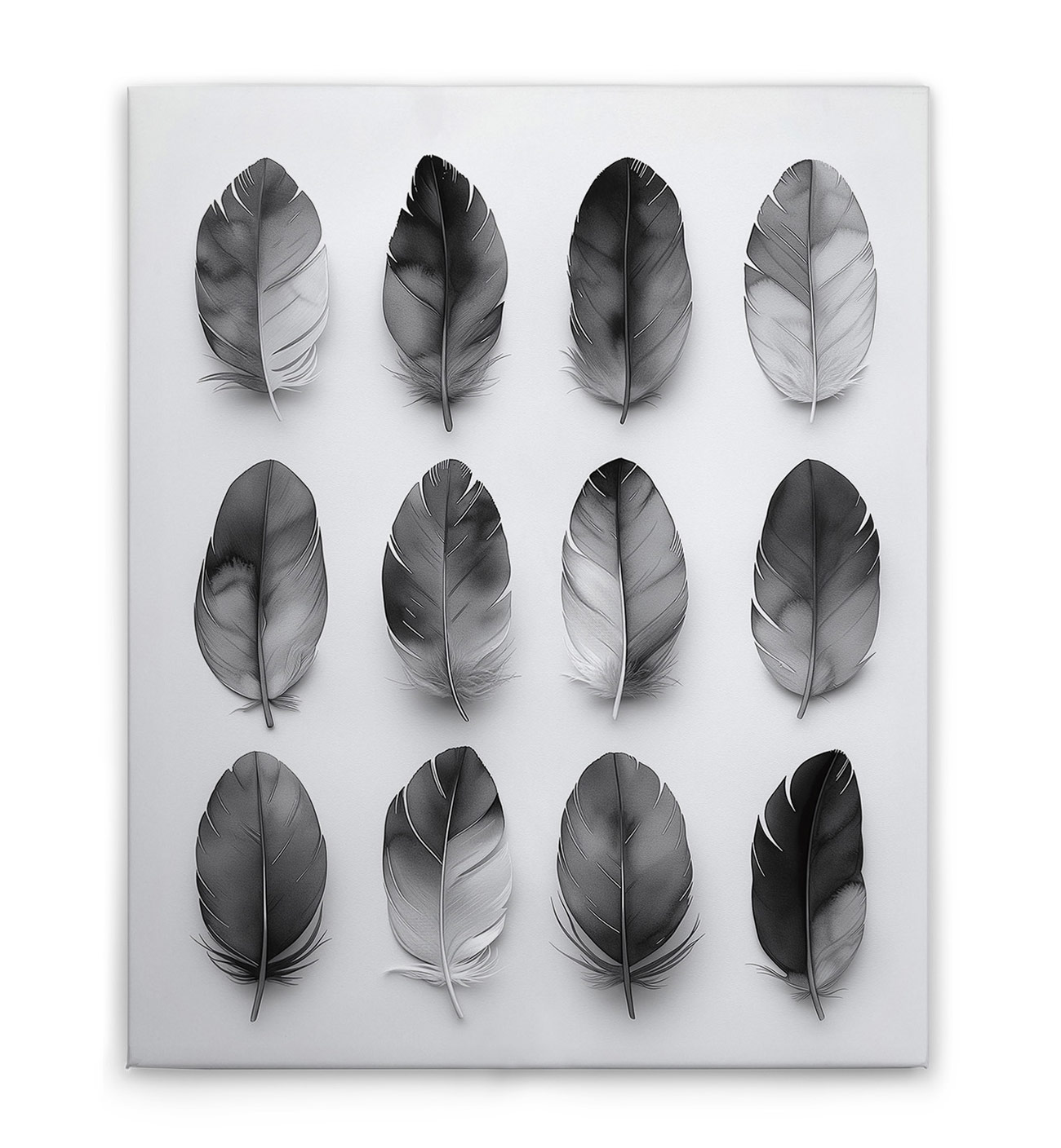 AS Leinwandbild Feathers Grey DD132893 AS Leinwandbild Feathers Grey DD132893