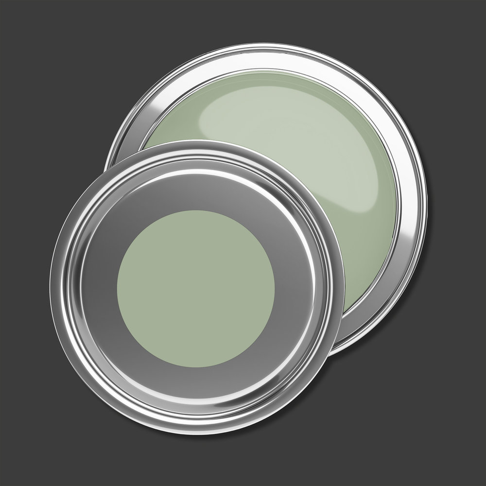 AS Premium Innenwandfarbe Puro c5002 sage green 1 L
