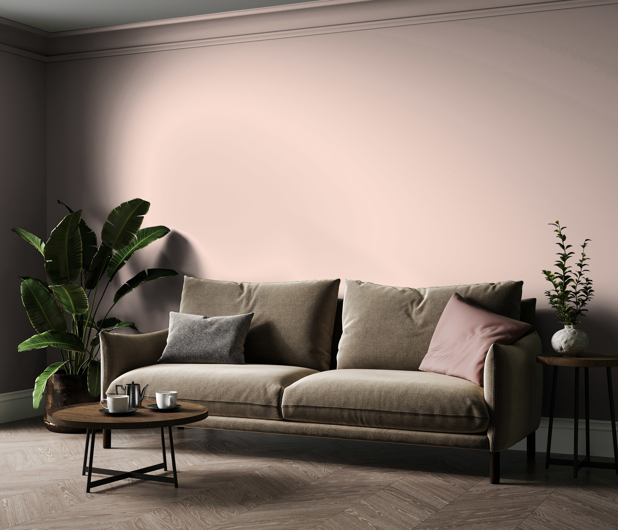 AS Premium Innenwandfarbe Puro c2014 varied red 1 L