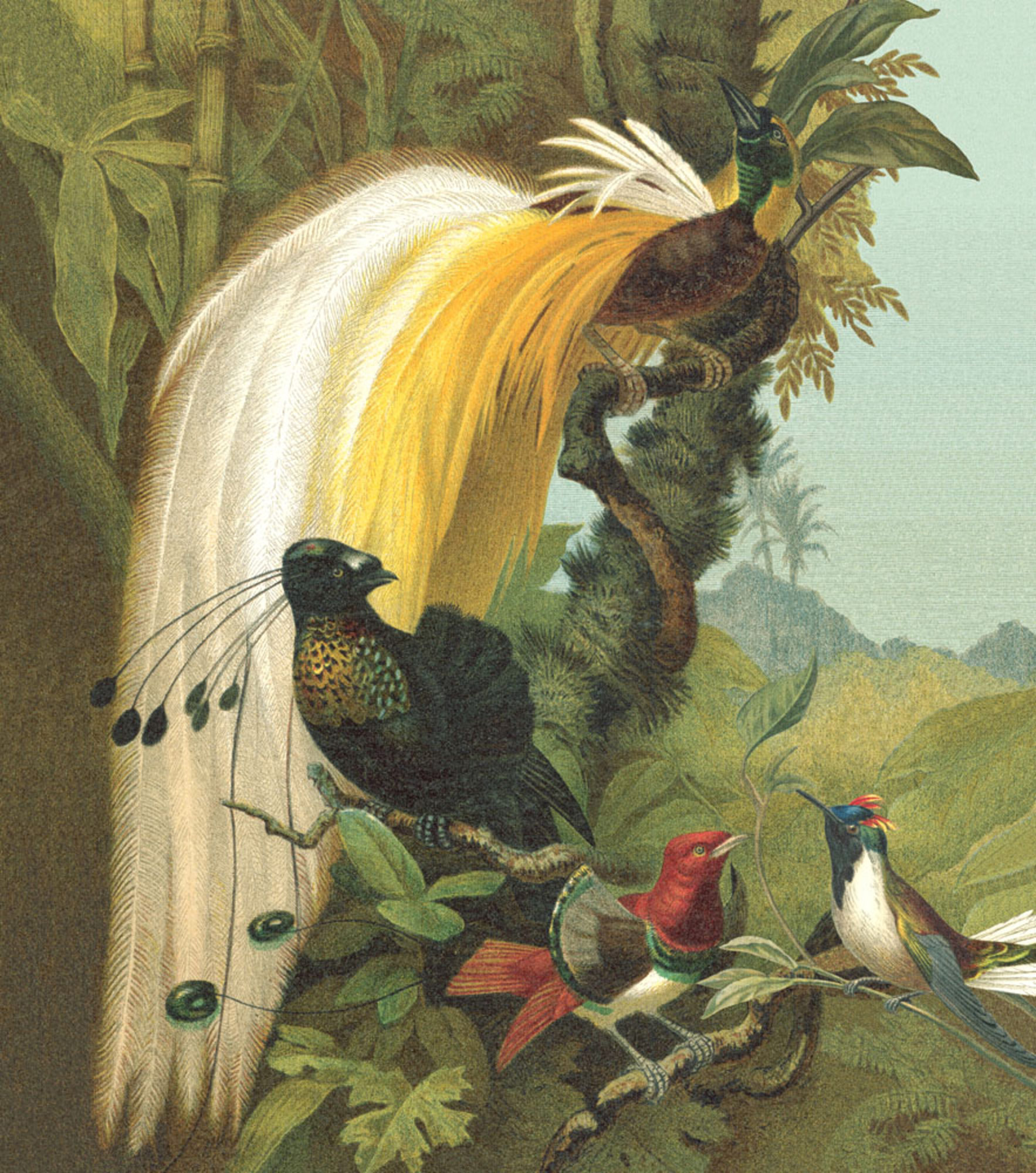 Rasch Fototapete Magic Walls Exotisch 543780 Rasch Fototapete Magic Walls Exotisch 543780