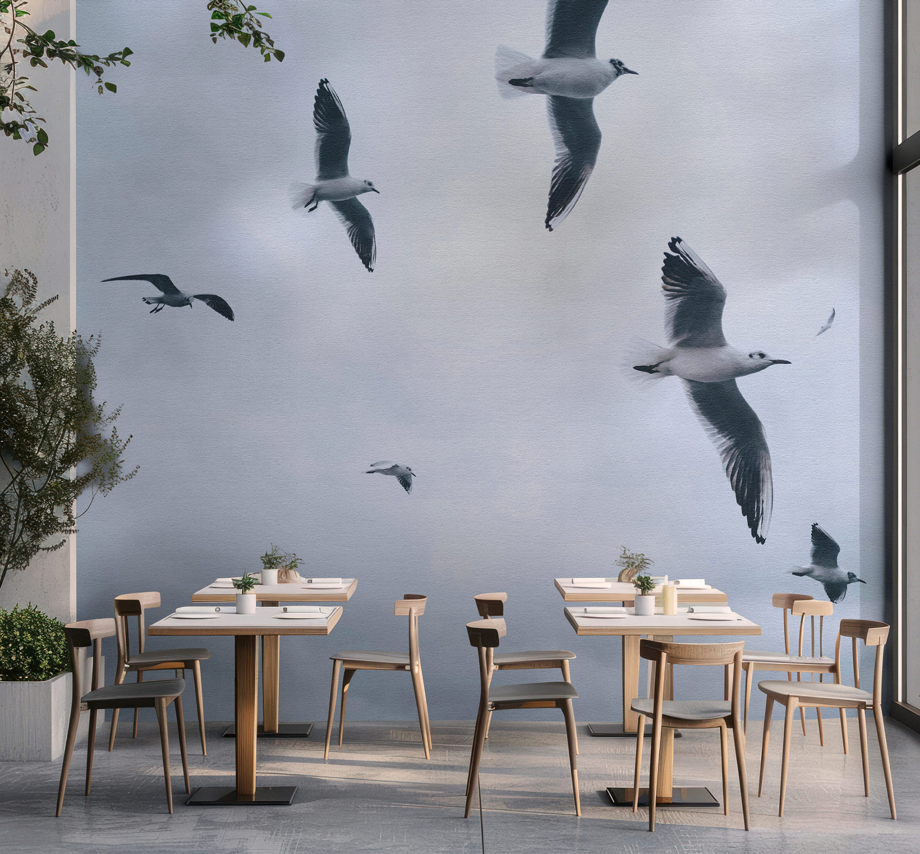 AS Fototapete Walls by Patel 5 Möwen Grau DD134843