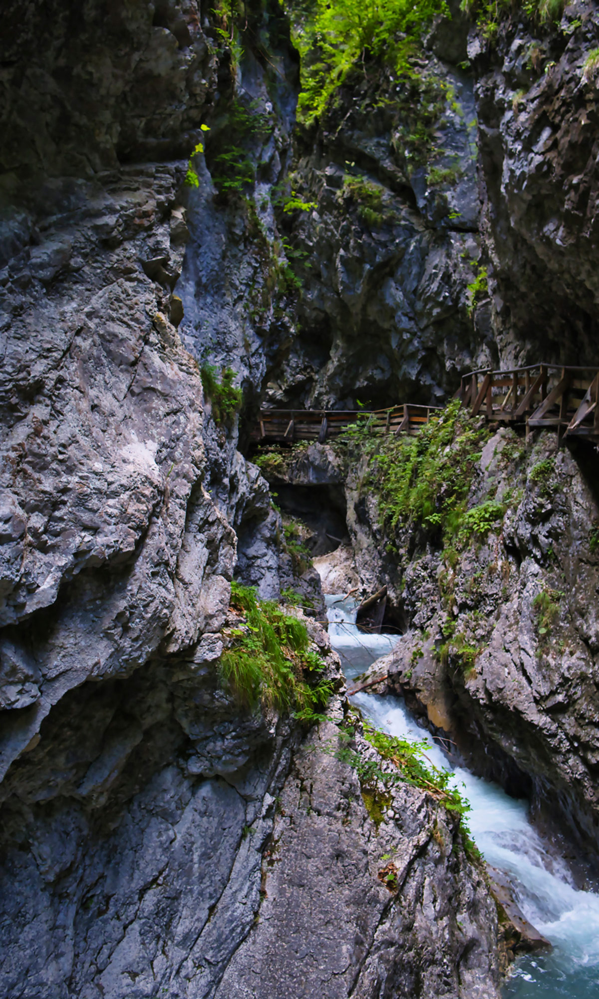 Rasch Fototapete Magic Walls Berge Bergwanderung 364675 Rasch Fototapete Magic Walls Berge Bergwanderung 364675