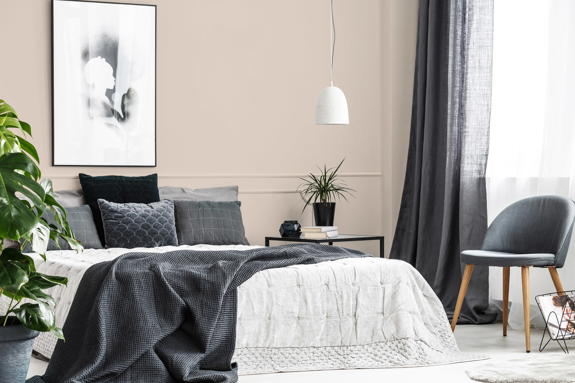 AS Premium Innenwandfarbe Puro c9010 diverse apricot 1 L