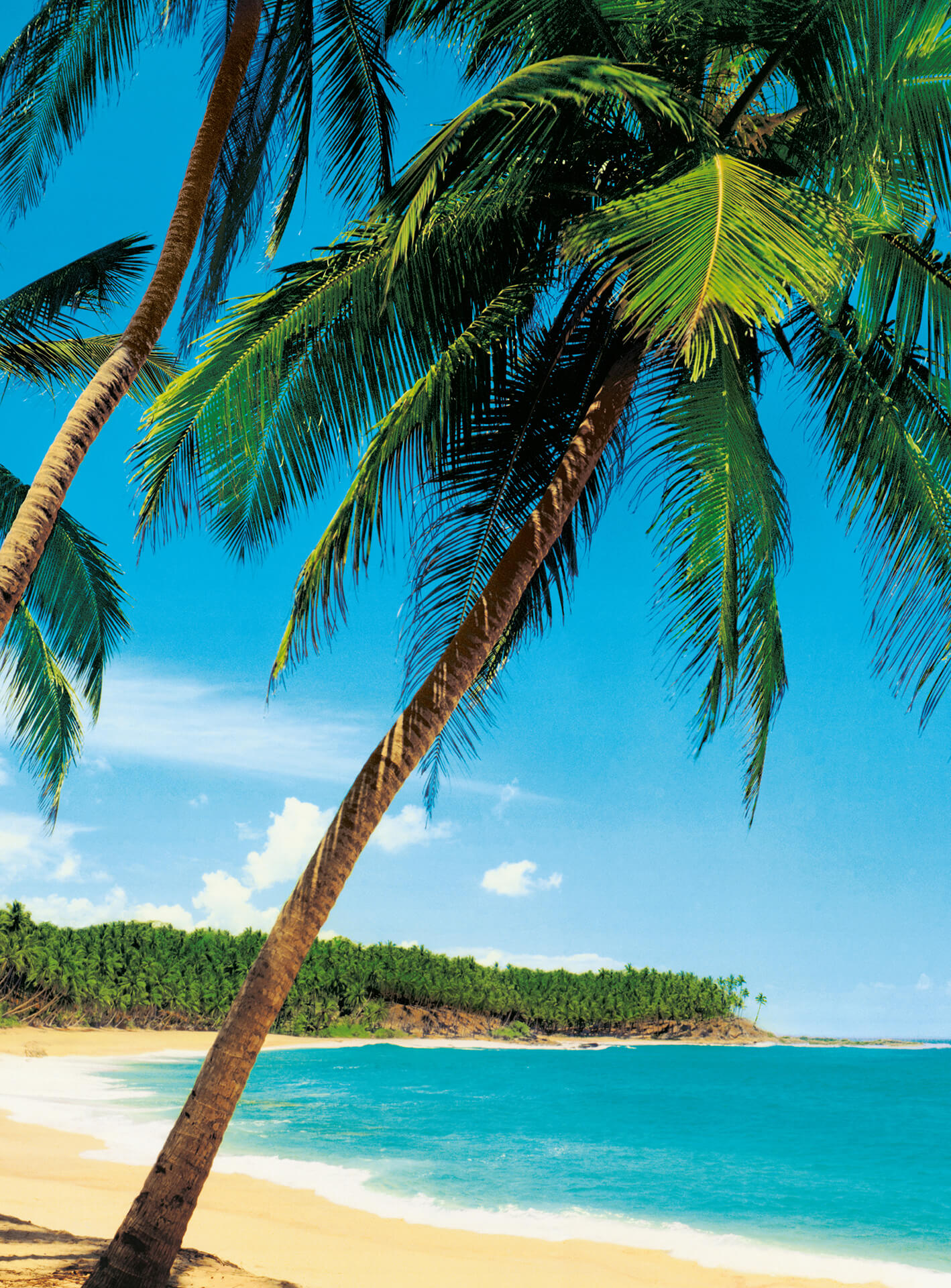 AS Fototapete Designwalls 2.0 Ile Tropicale DD119111