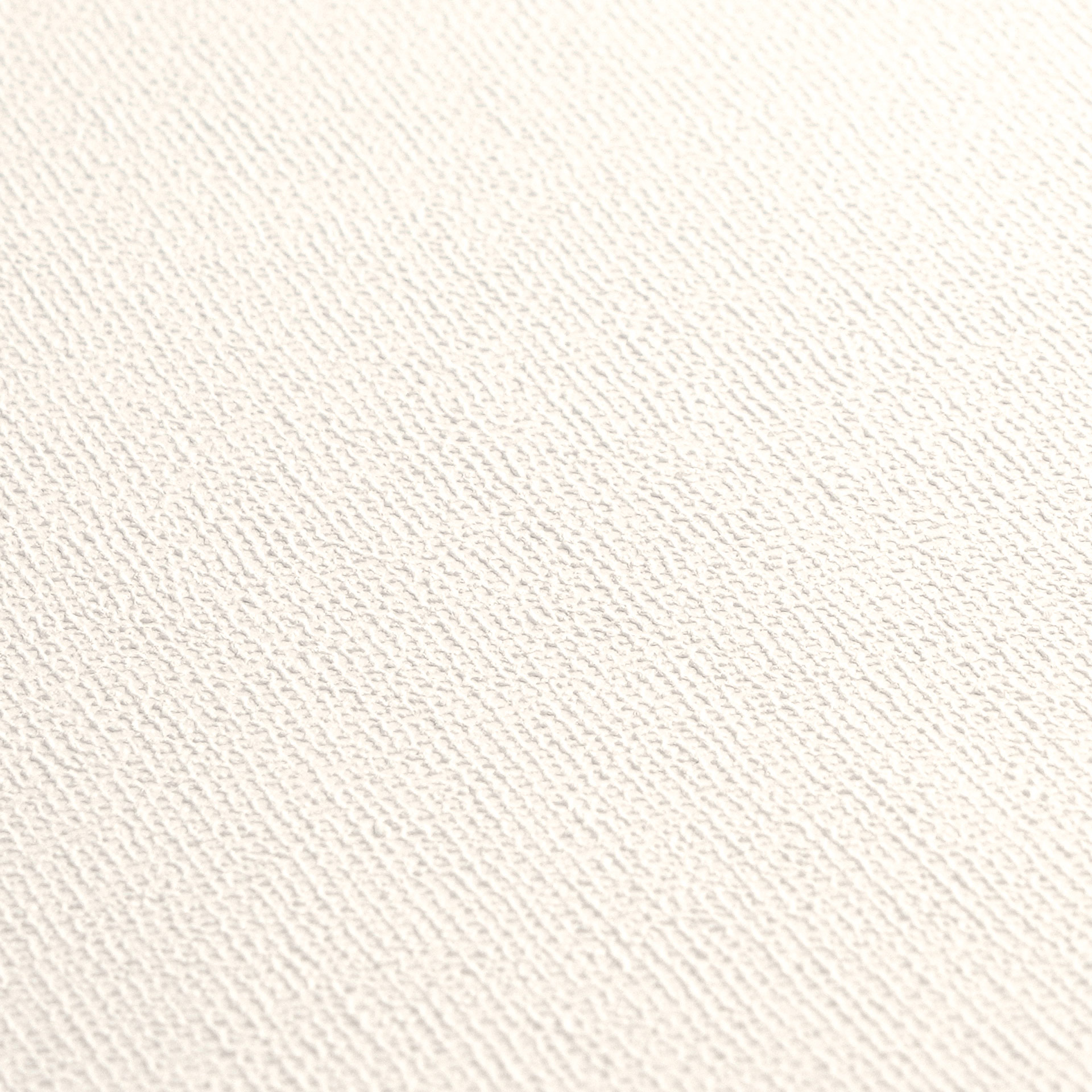 AS Vliestapete Meistervlies 8 überstreichbar 389731