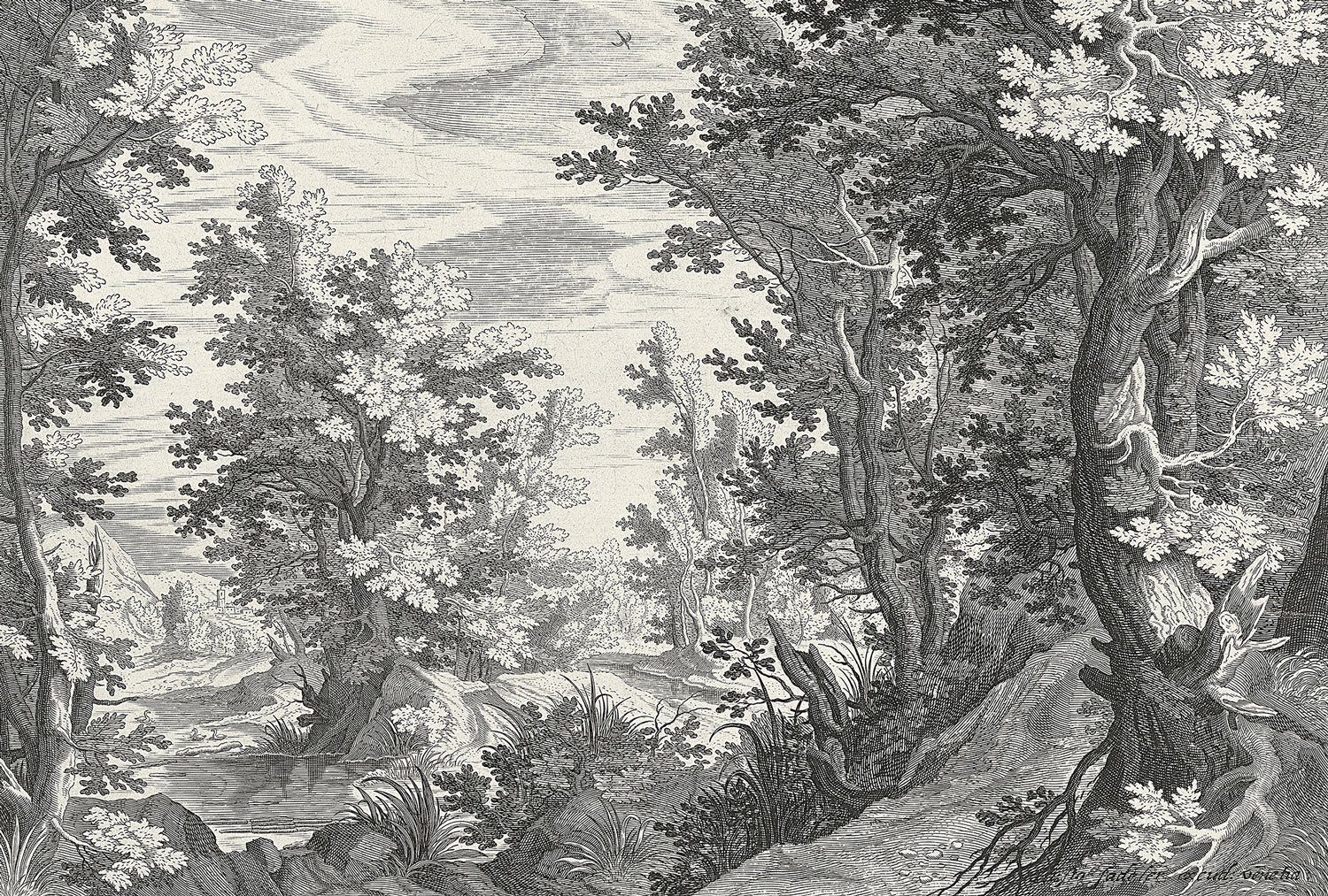 AS Fototapete Walls by Patel 3 Wald DD121884