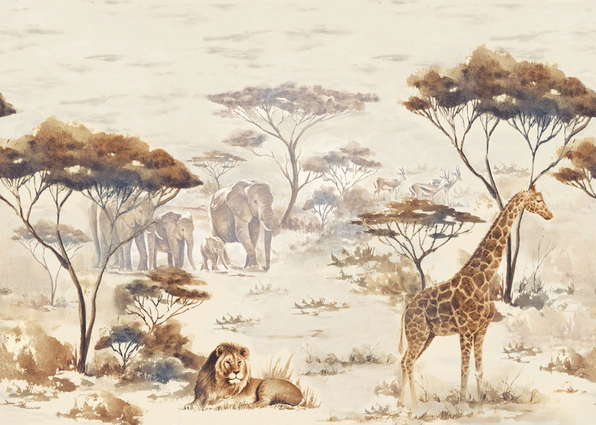 Rasch Wandbild Fototapete African Queen 3 Zebra 363678