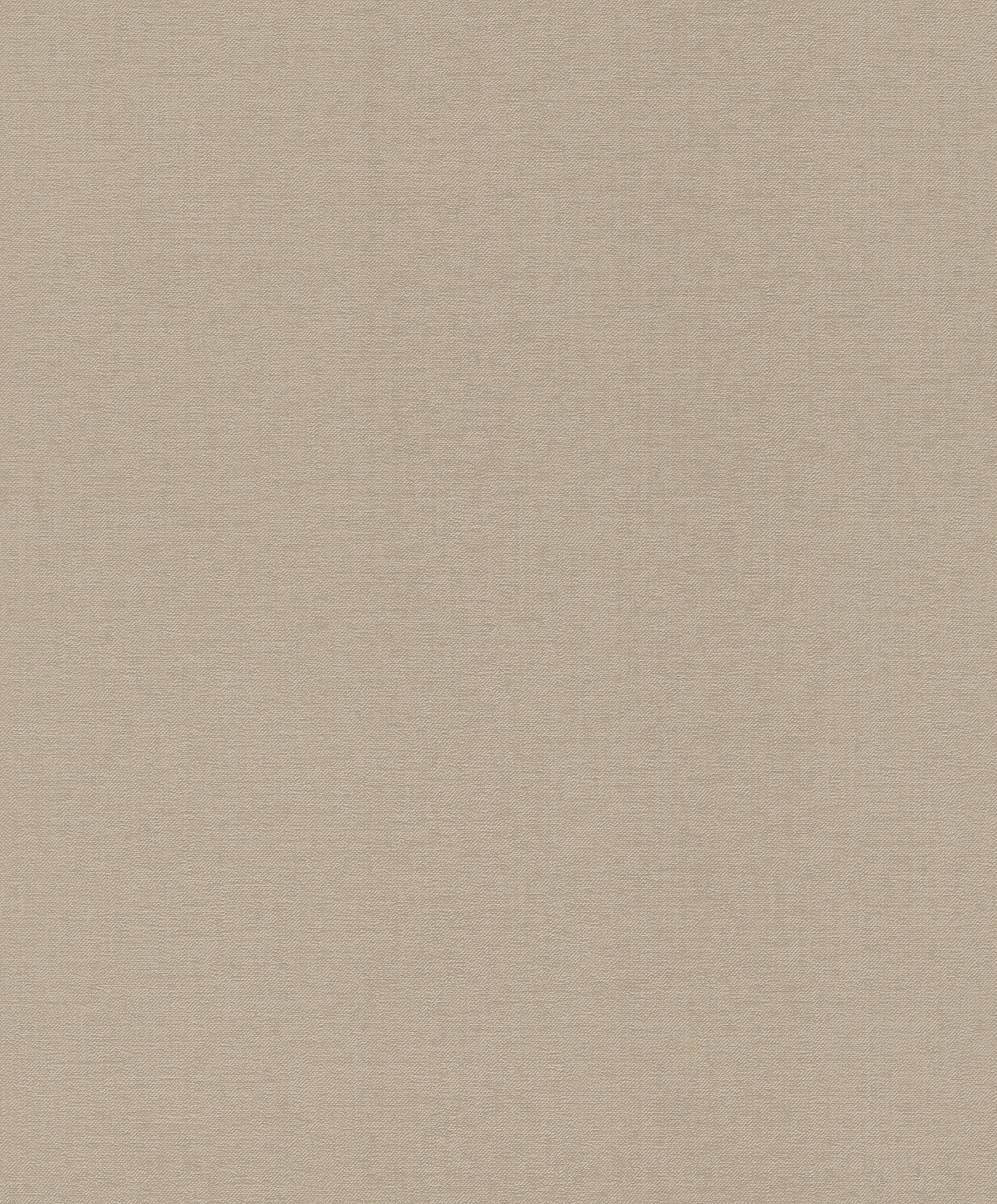 Emil & Hugo Vliestapete Bloomsbury 302195