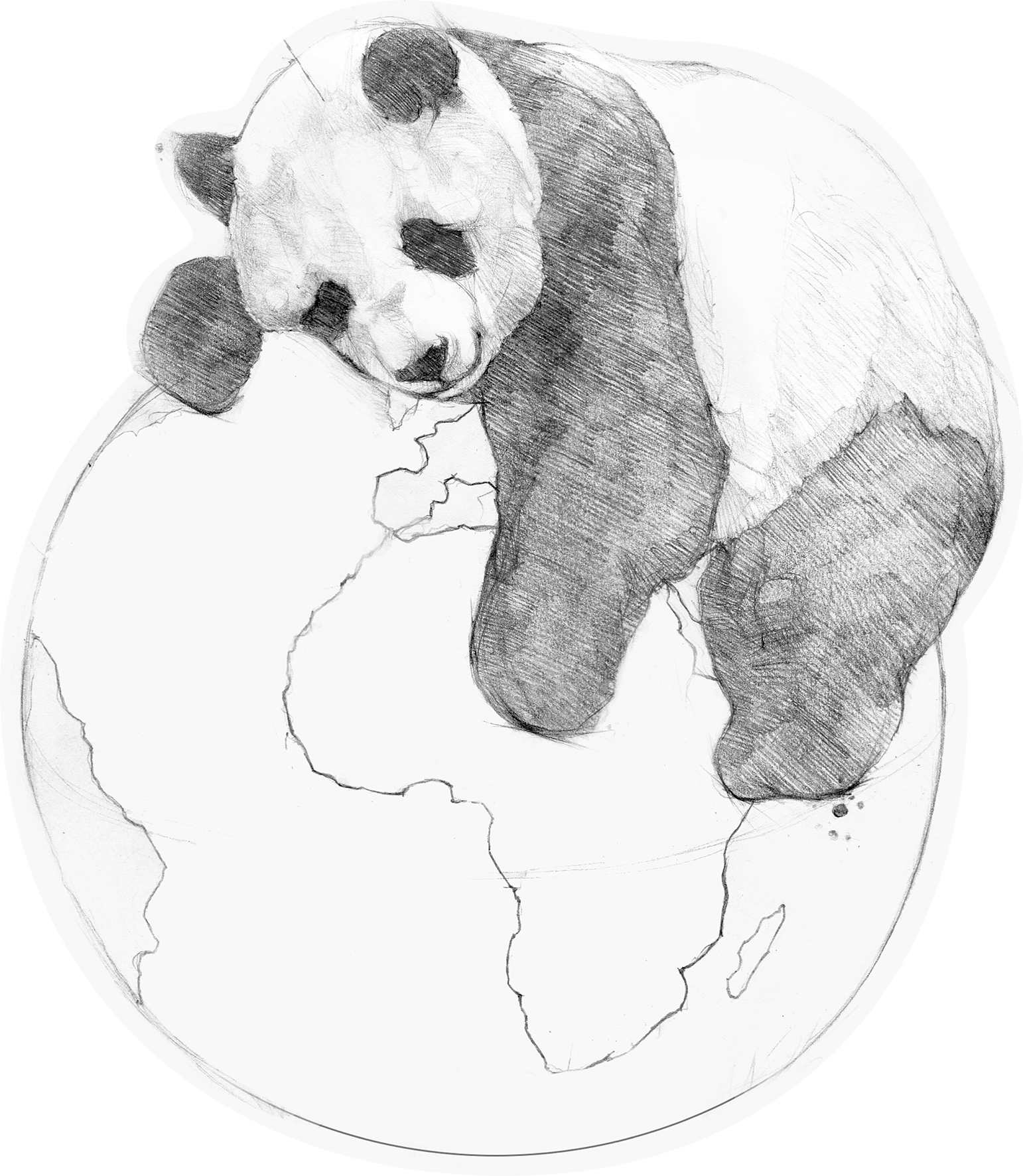 Thomas Fototapete Platin Formen  Panda schwarz weiss