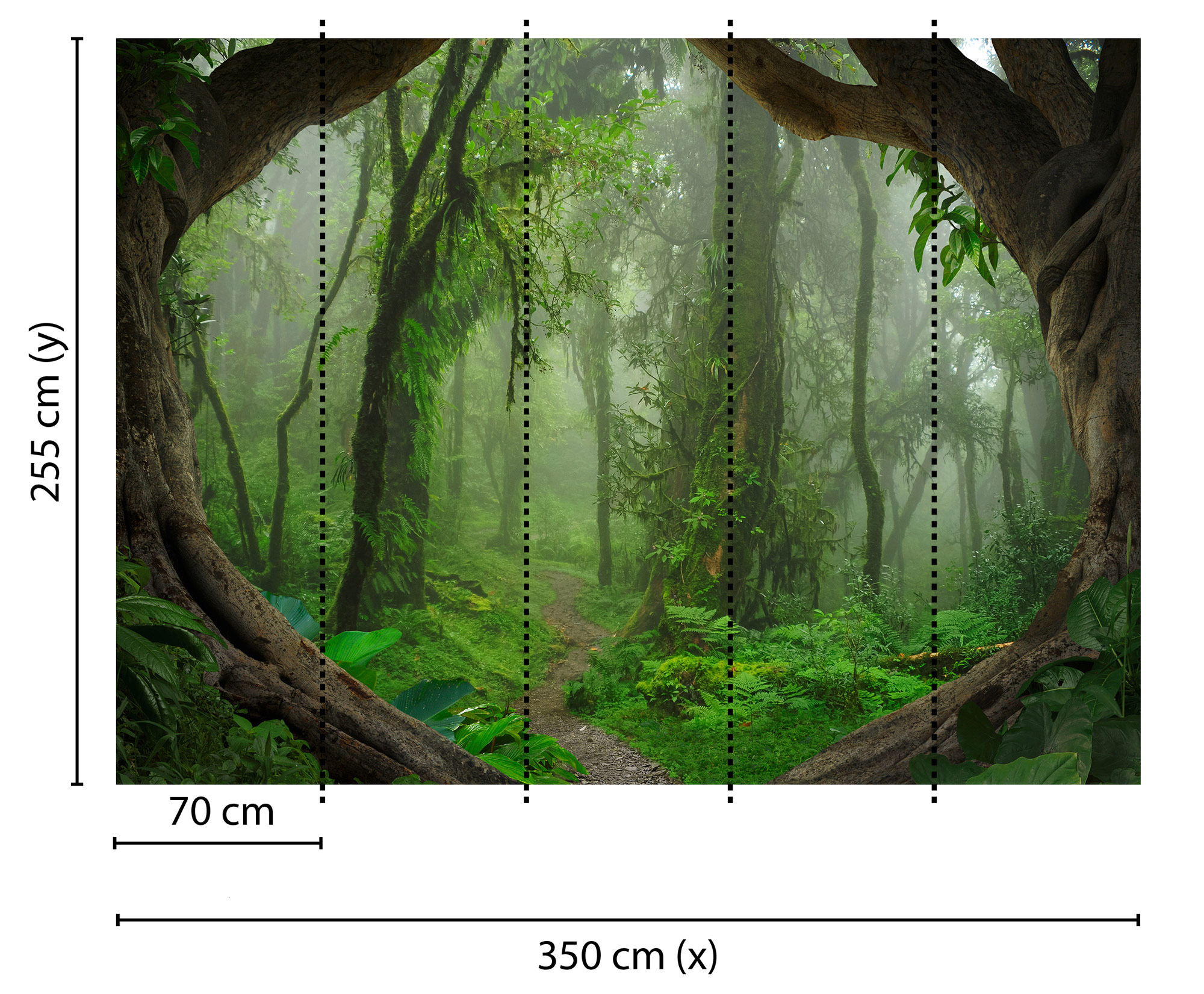 AS Fototapete Designwalls Tropical Forest Wald DD118632