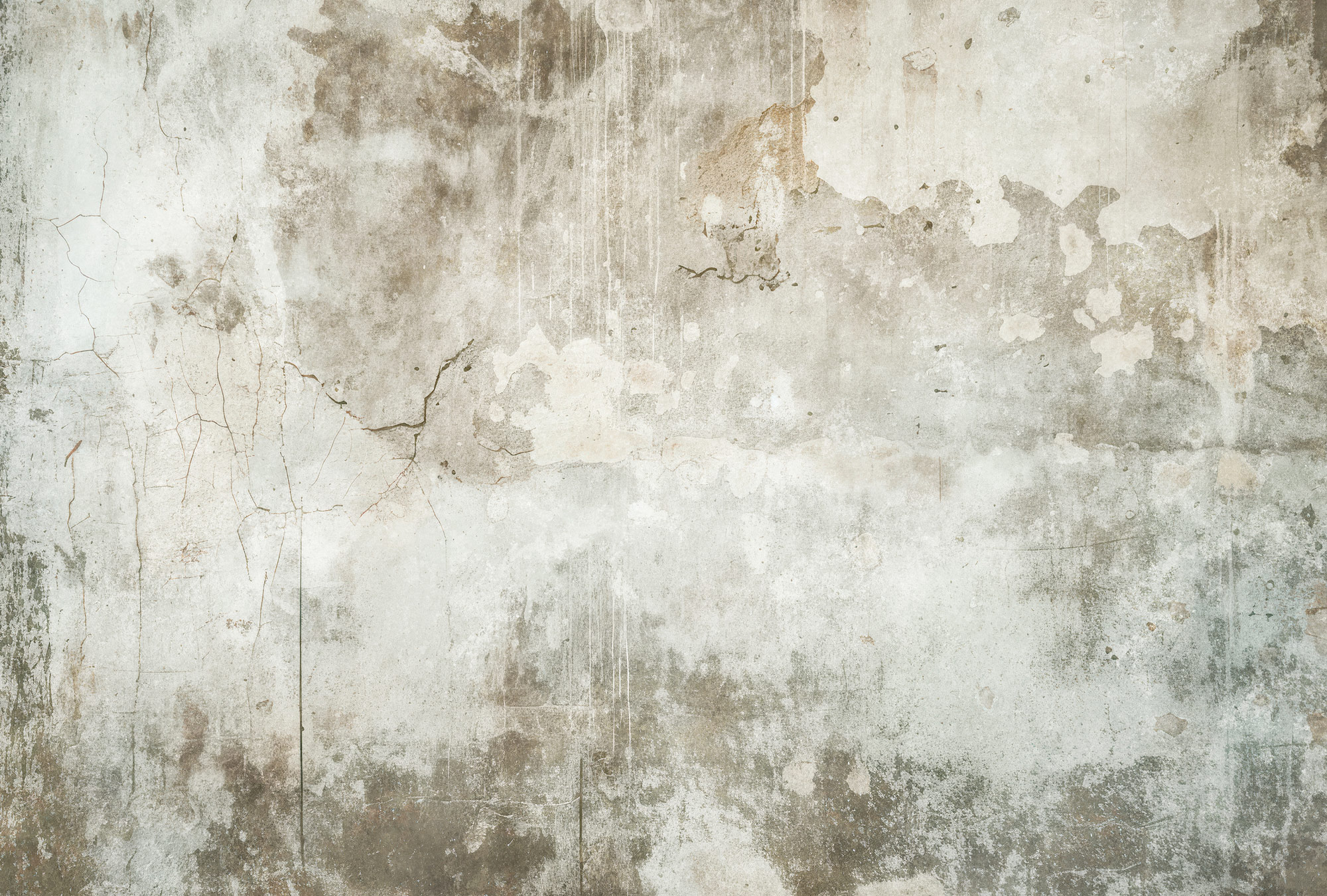 AS Fototapete Walls by Patel 5 Betonoptik Grau DD134567