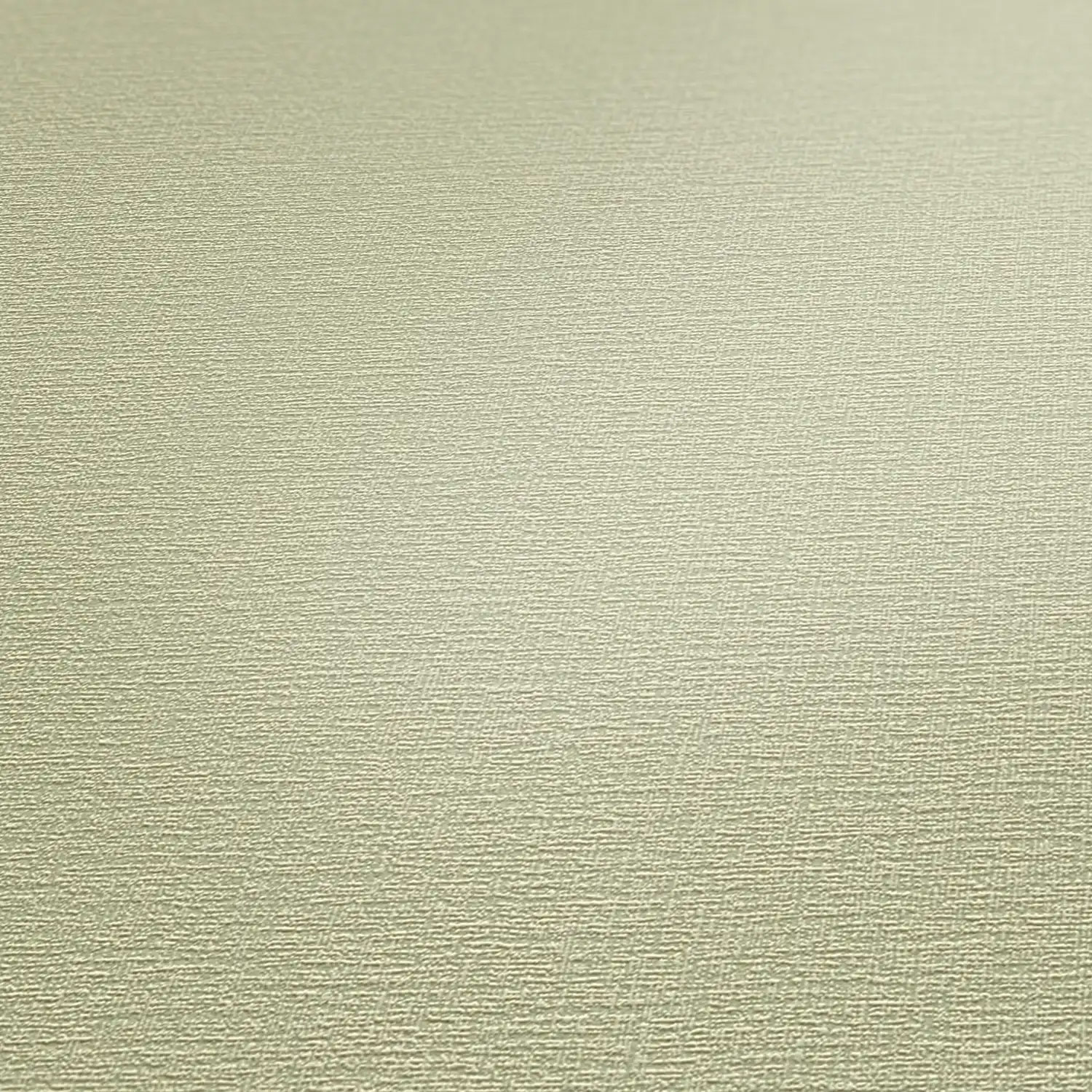 AS Vliestapete Casual Living Unitapete grün 399315