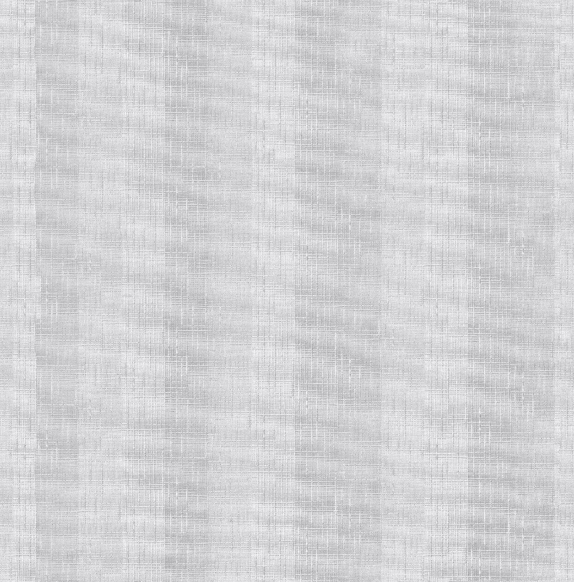 Erfurt Vliesfaser Tapete Basic 108 | Einzelrolle