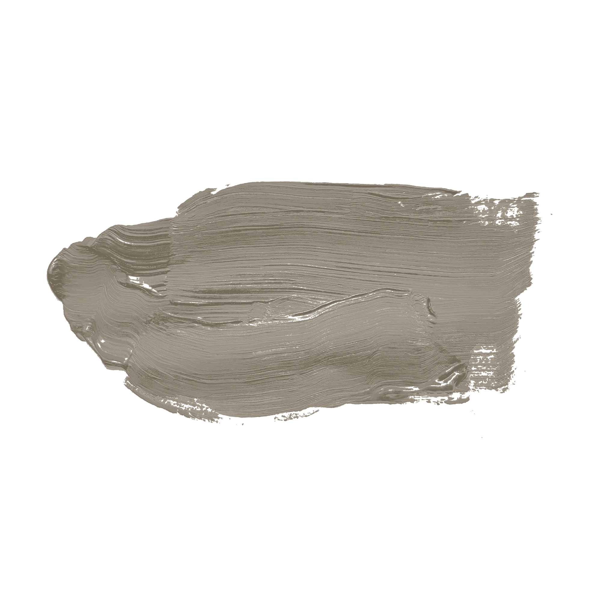 AS Wandfarbe The Color Kitchen TCK1020 Aesthetic Ajwain 2,5
