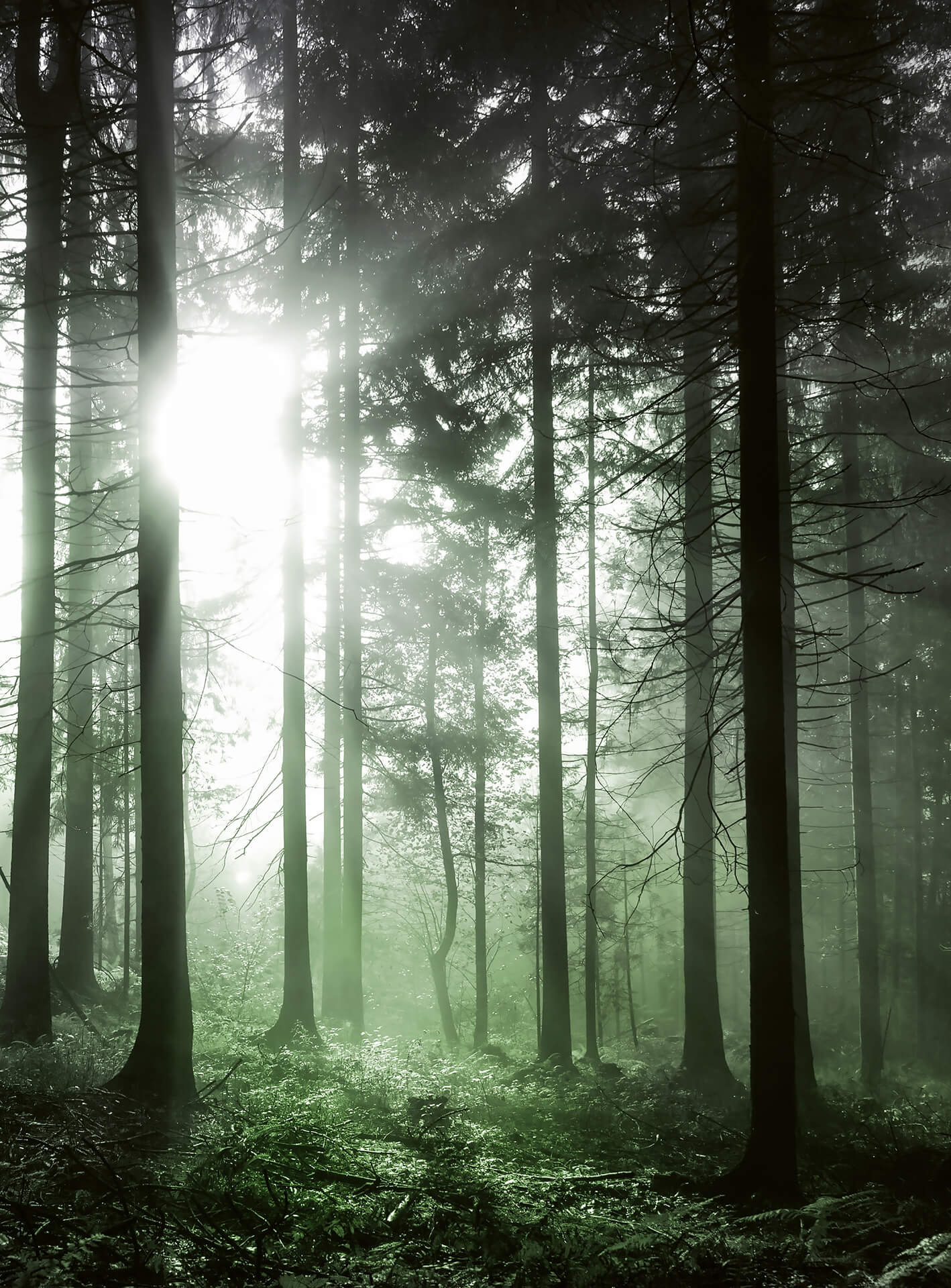 AS Fototapete Designwalls 2.0 Sun Rays DD119091