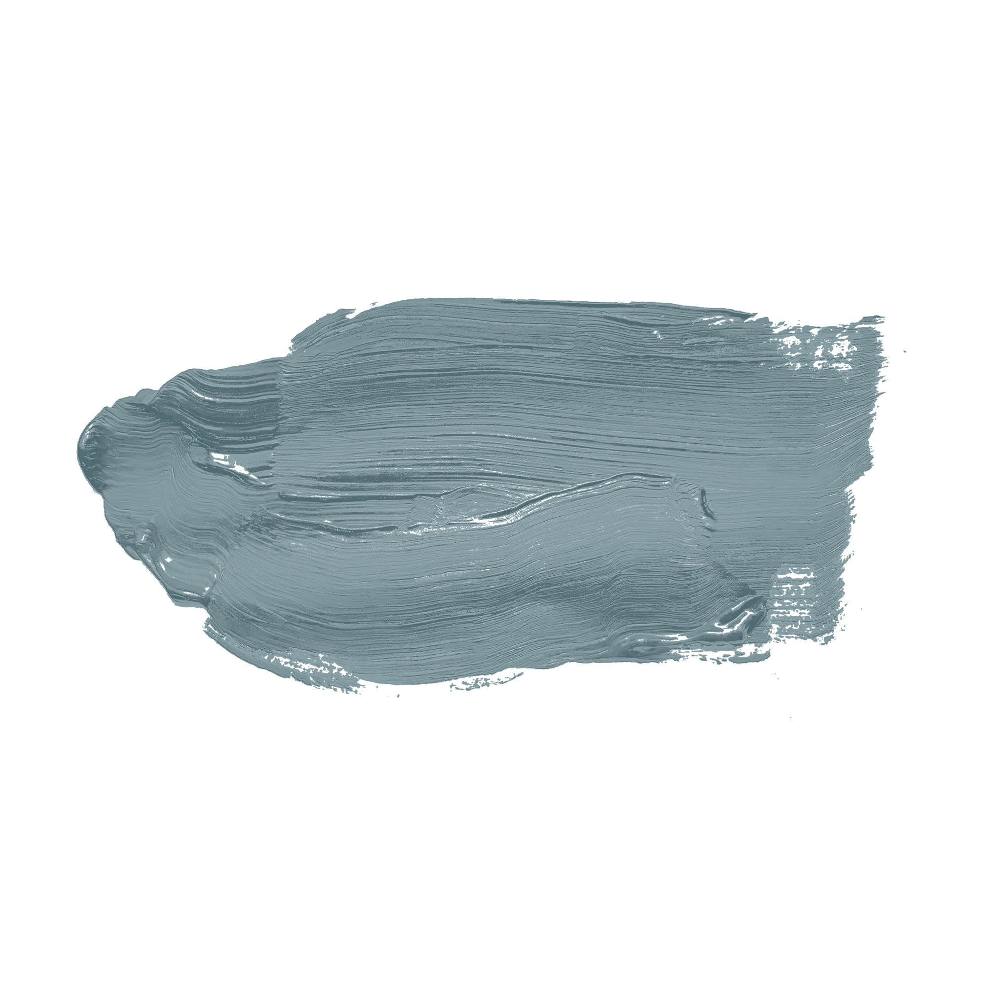 AS Wandfarbe The Color Kitchen TCK3010 Typical Trout 2,5 L