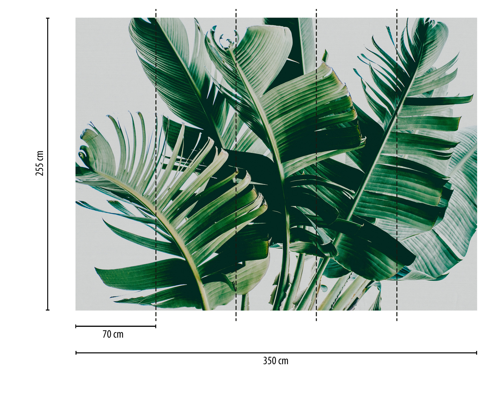 AS Fototapete Designwalls 2 Natur Pflanzen DD123474