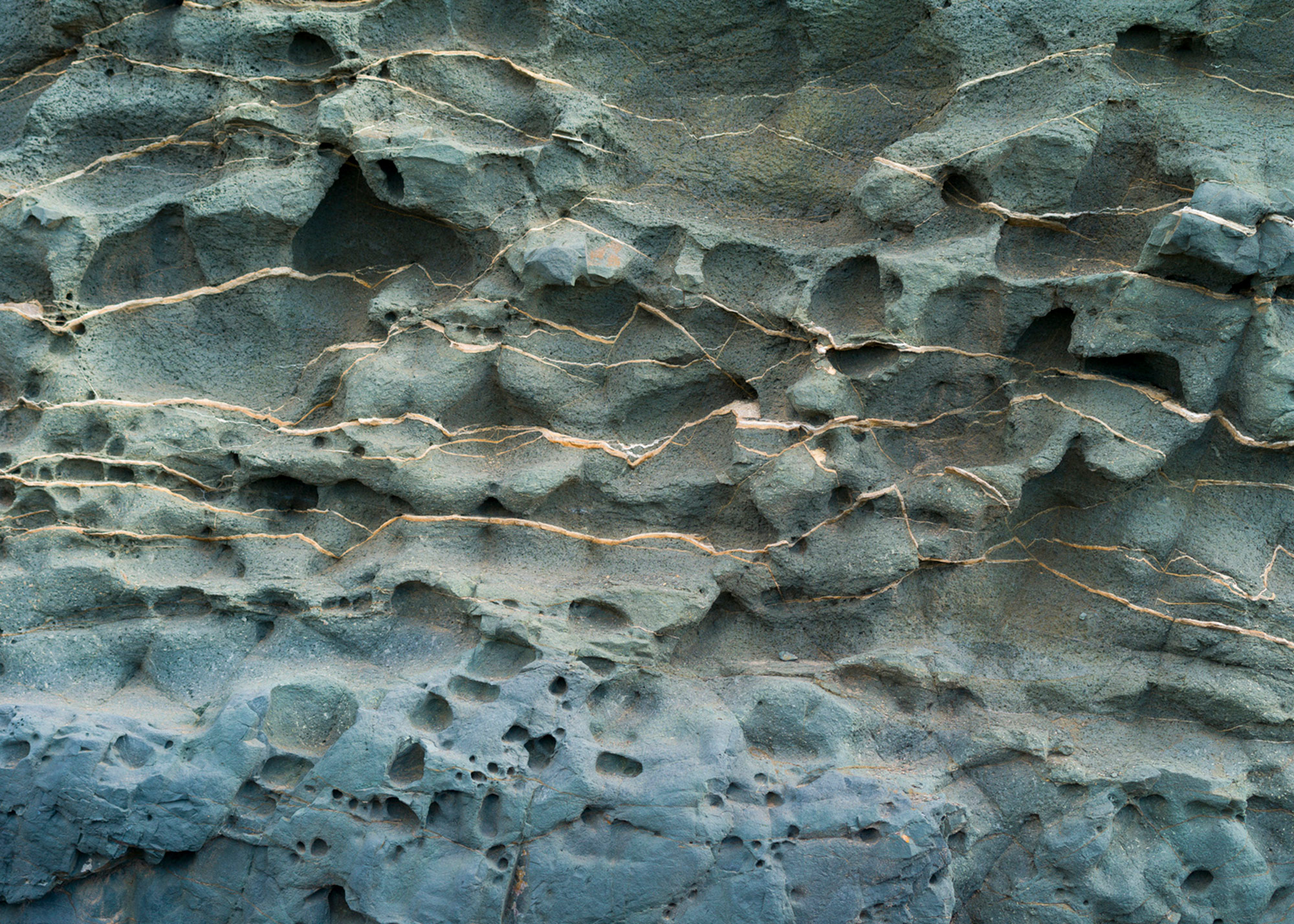 Rasch Fototapete Magic Walls Natur 363739 Rasch Fototapete Magic Walls Natur 363739