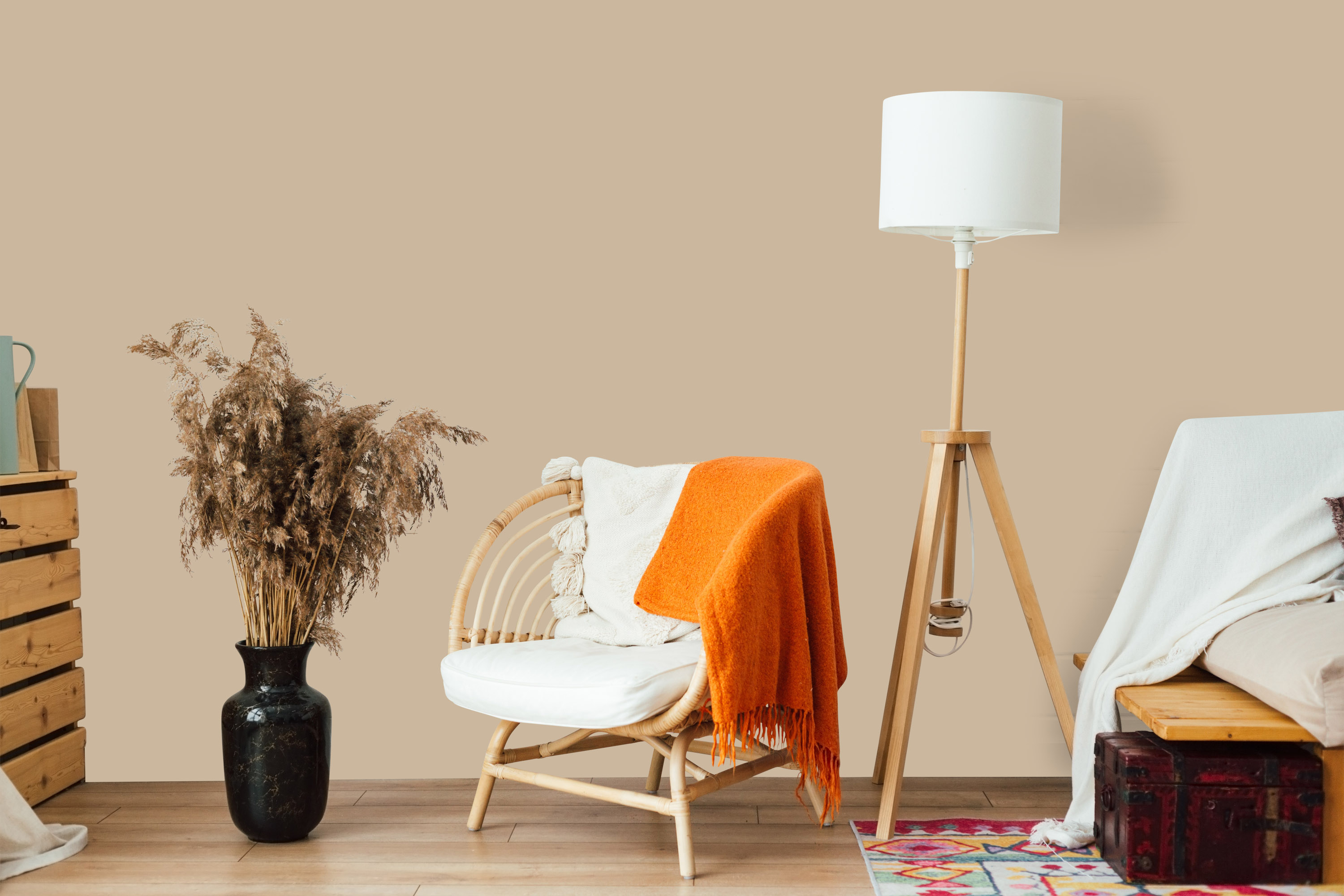 AS Wandfarbe The Color Kitchen TCK6002 Flat White Coffee 2,5