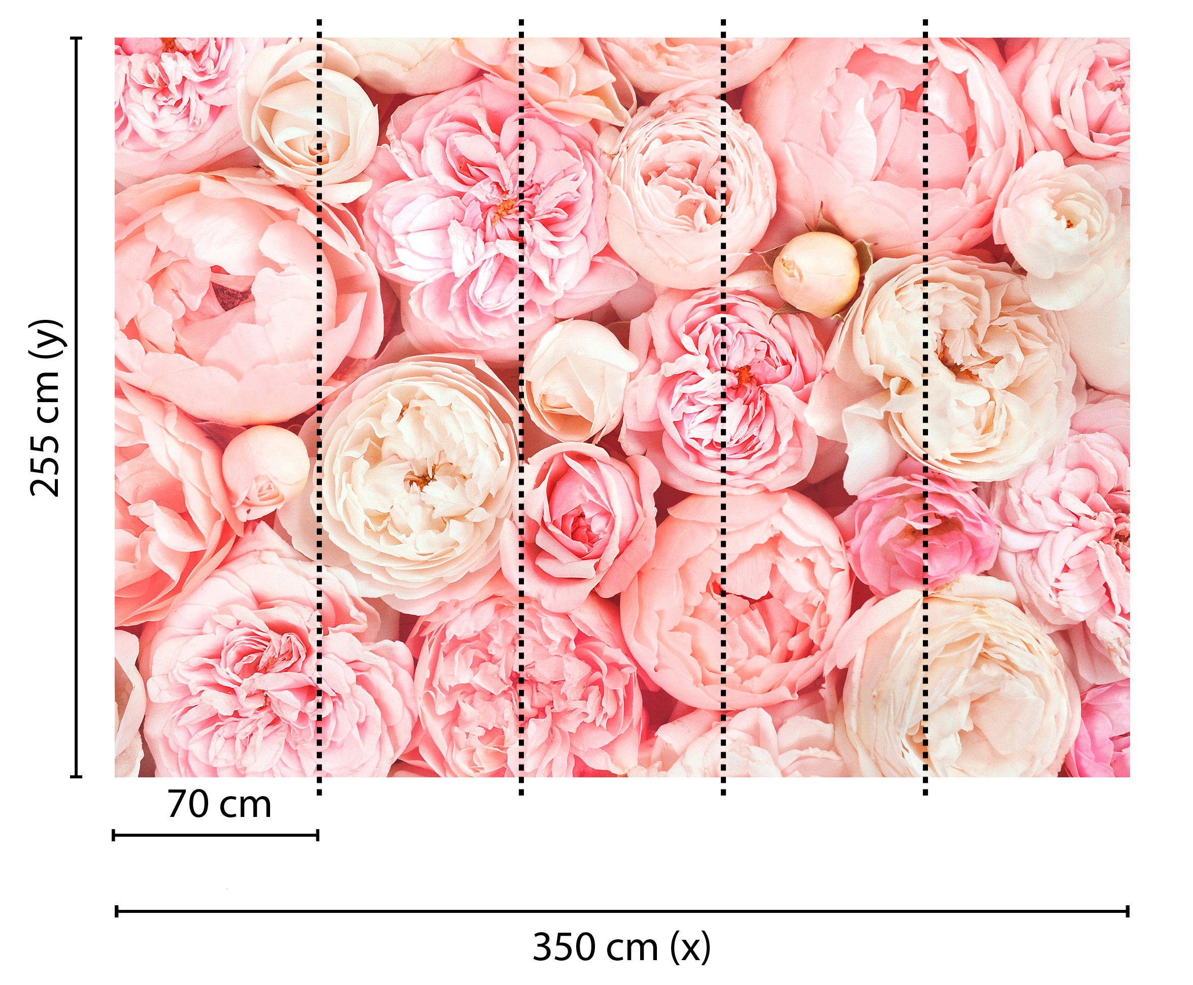 AS Fototapete Designwalls Roses DD118522