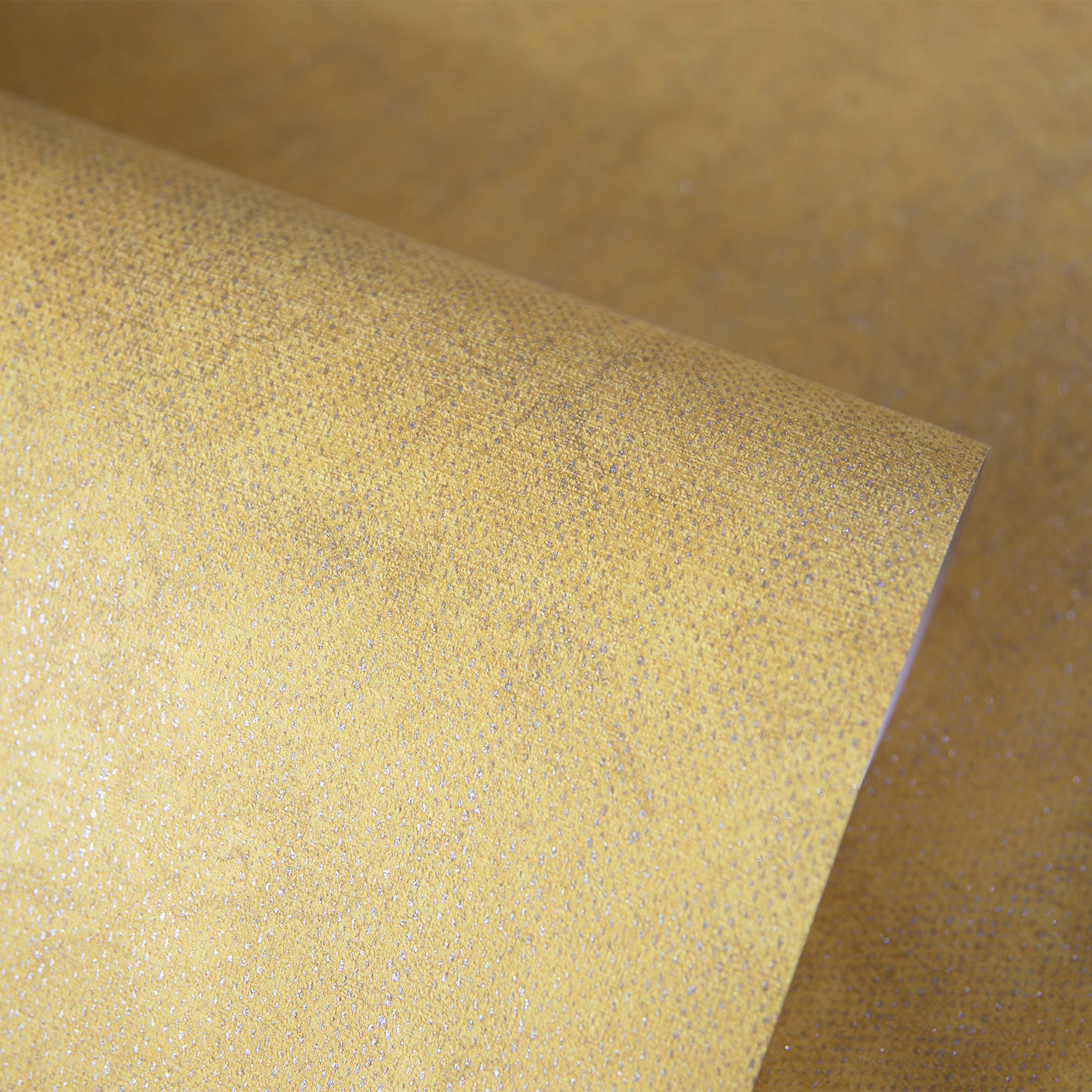 Hohenberger Vliestapete Raku Malea 65729