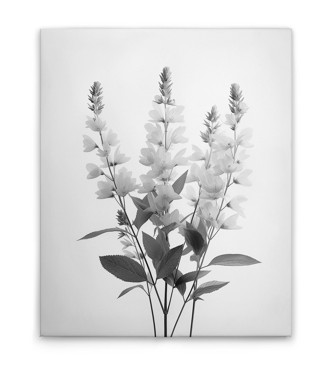 AS Leinwandbild Blumen SW 1 DD132888