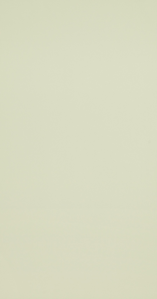 BN Walls Vliestapete Hej grüne Unitapete 218151