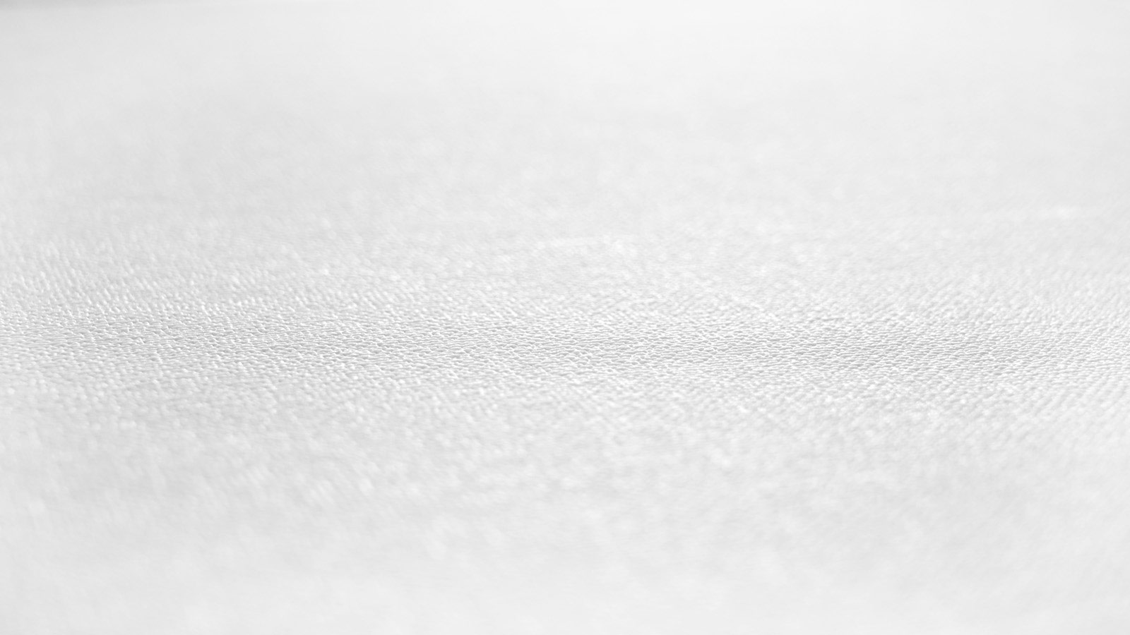 AS Vliestapete Meistervlies 8 überstreichbar 389731