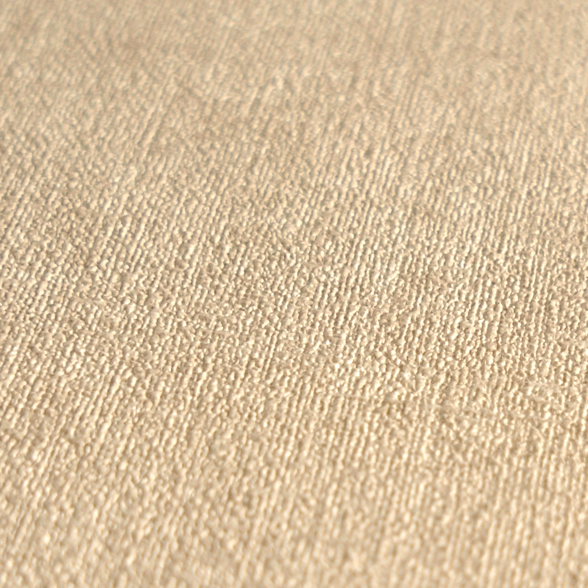 AS Vliestapete MS Hot Spots Unis Beige 395655