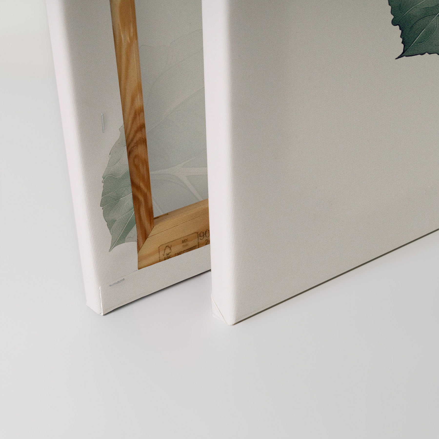 AS Leinwandbild Hortensie Rose DD132921