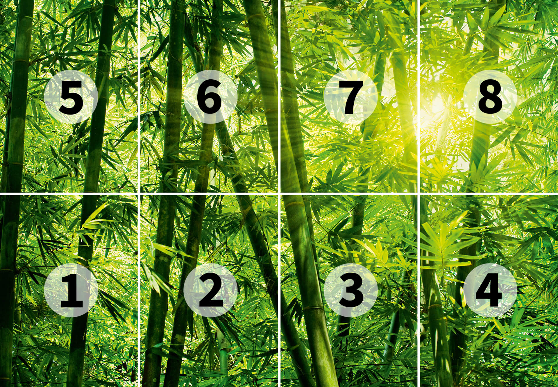 AS Fototapete Designwalls 2.0 Bamboo Forest DD118860