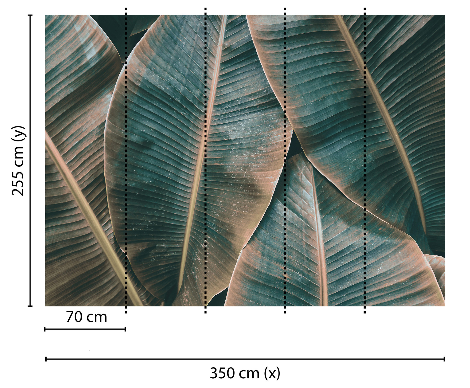 AS Fototapete Designwalls BananaLeaves DD118562