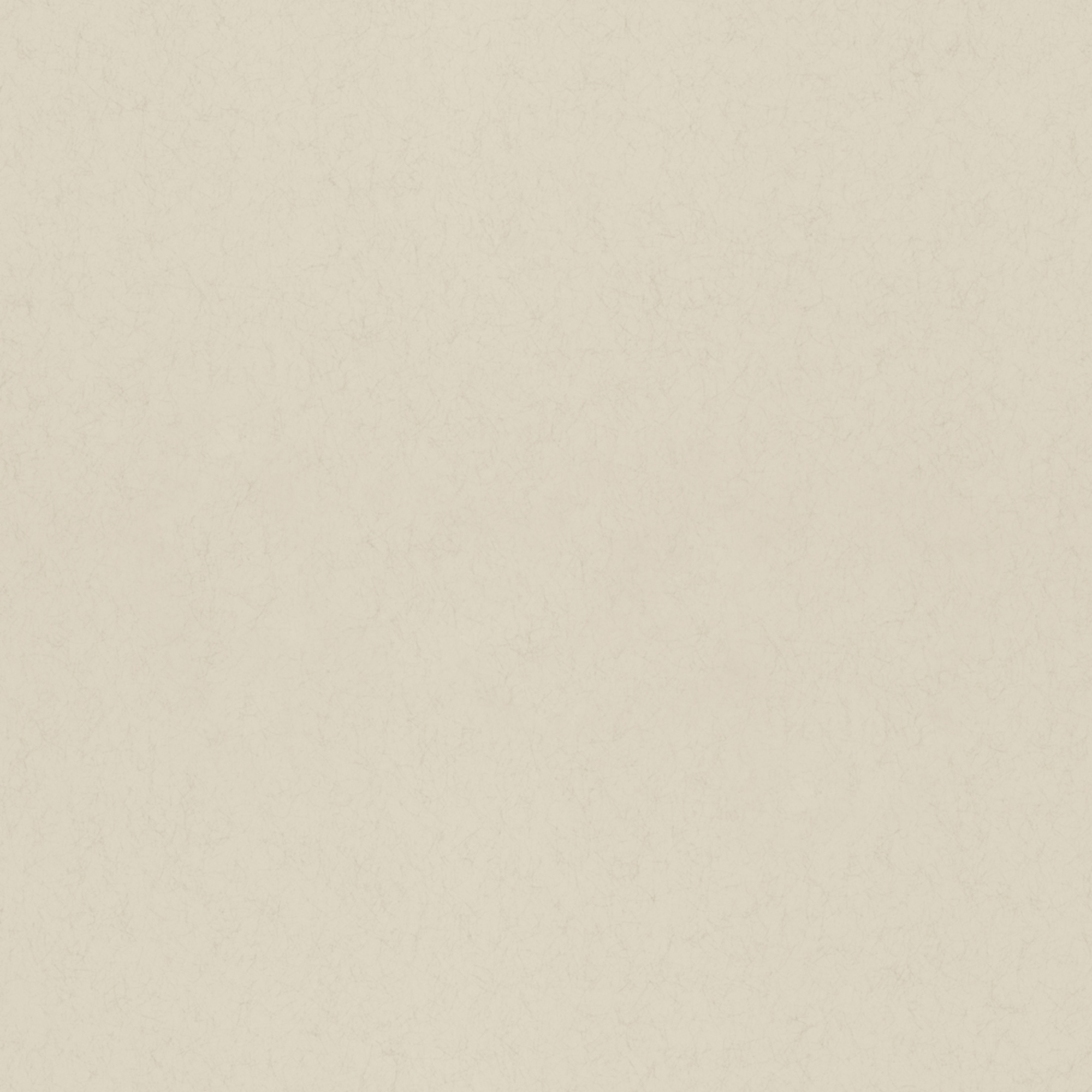 Rasch Textil Vliestapete Fagelsang Uni matt 077014 Rasch Textil Vliestapete Fagelsang Uni matt 077014