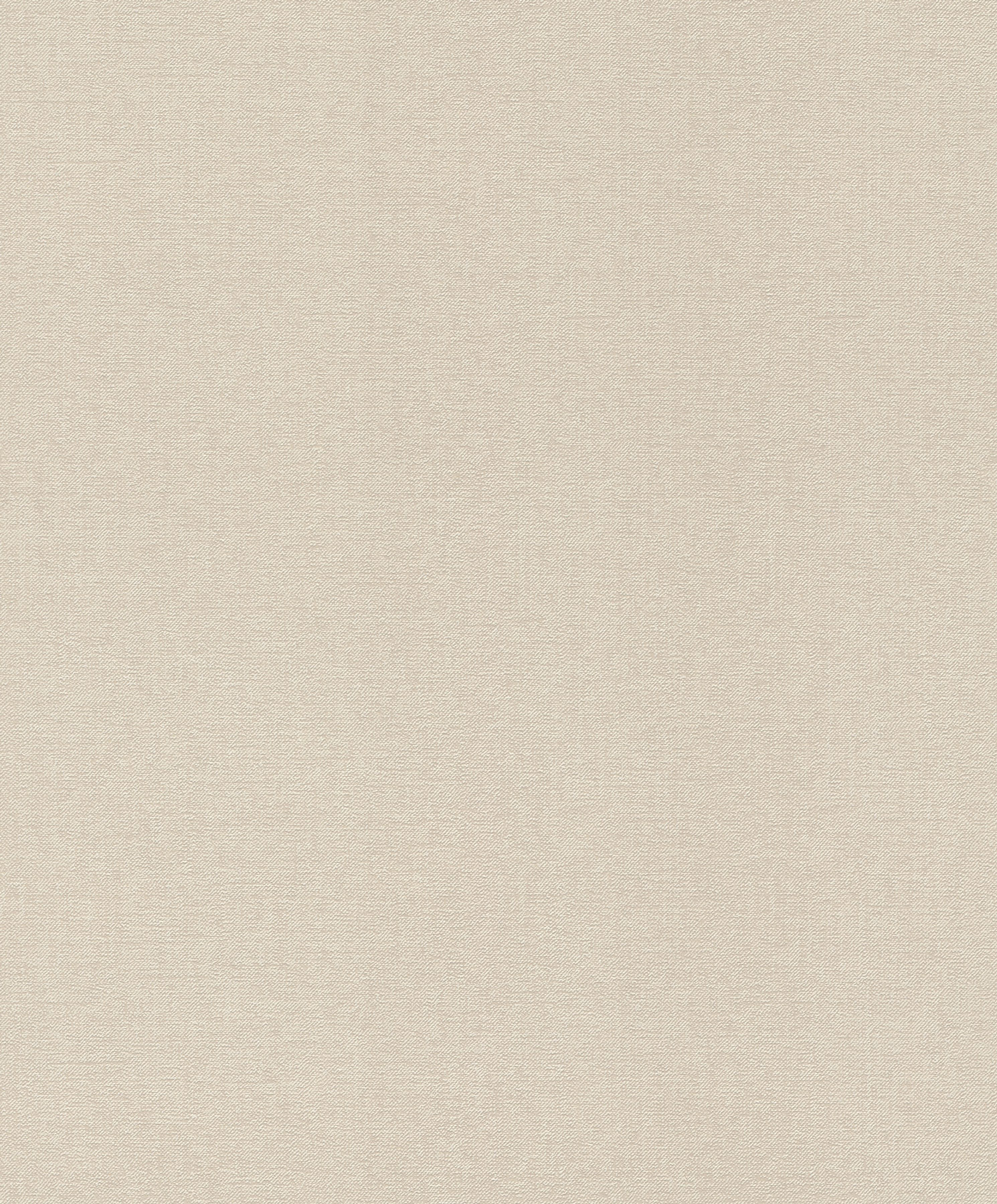 Emil & Hugo Vliestapete Bloomsbury 302225