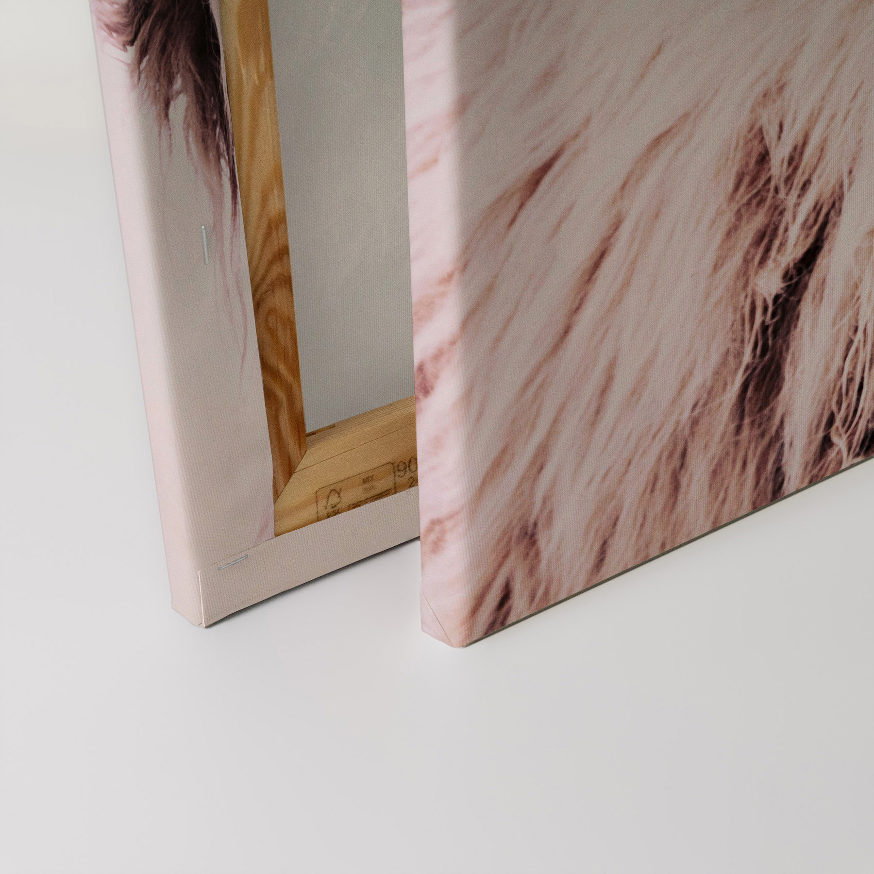 AS Leinwandbild Highland Cattle 1 DD131859