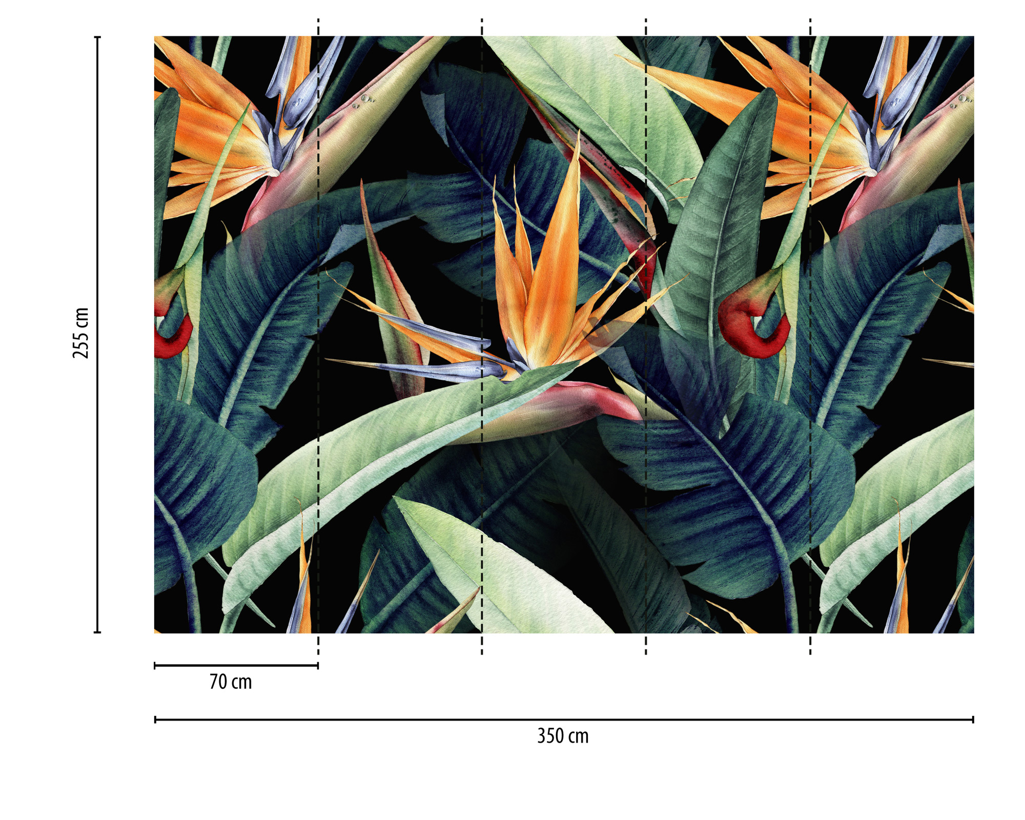 AS Fototapete Designwalls 2 Natur Pflanzen DD123492