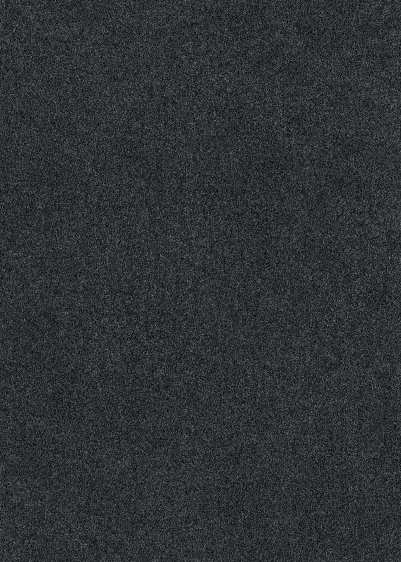 Erismann Vliestapete Play of light schwarz 1041815