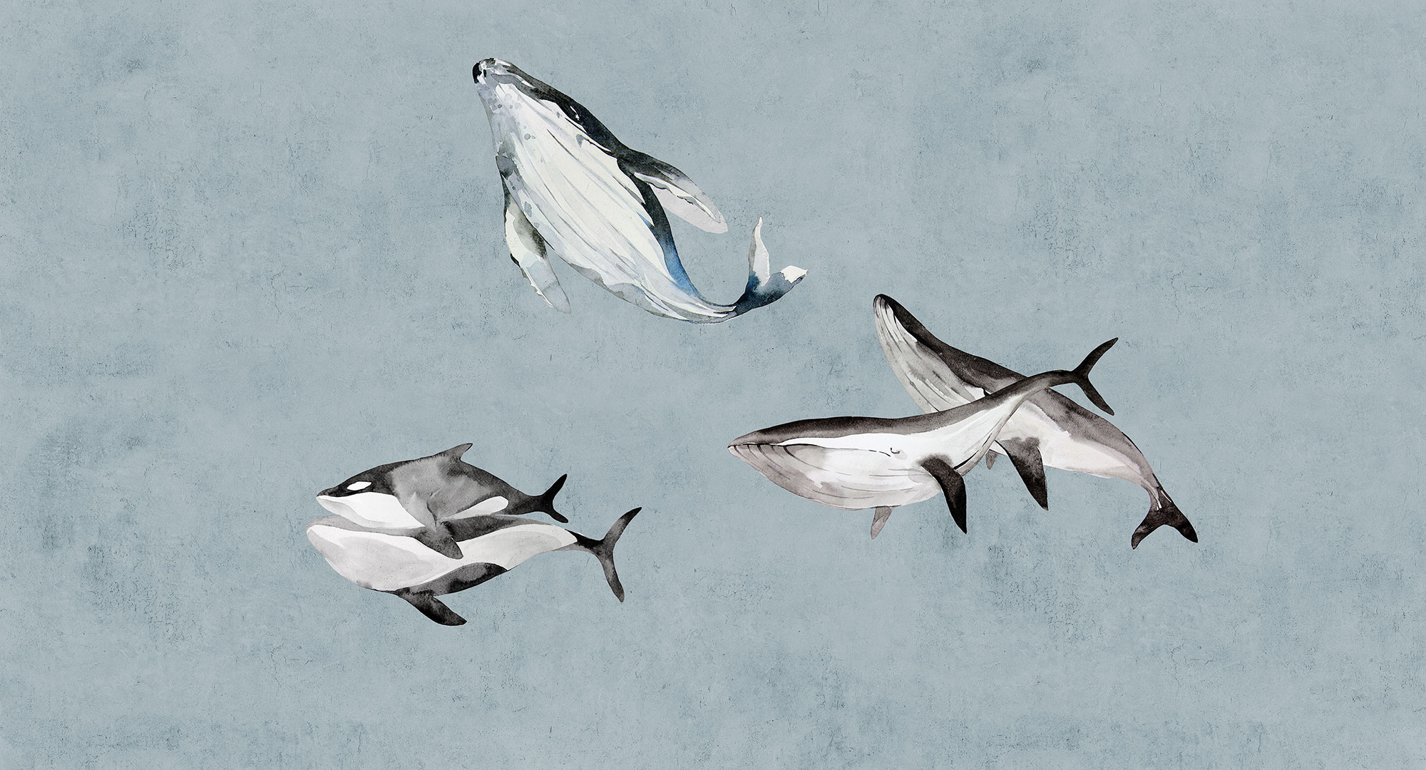 AS Fototapete Walls by Patel 3 Unterwasser DD122012