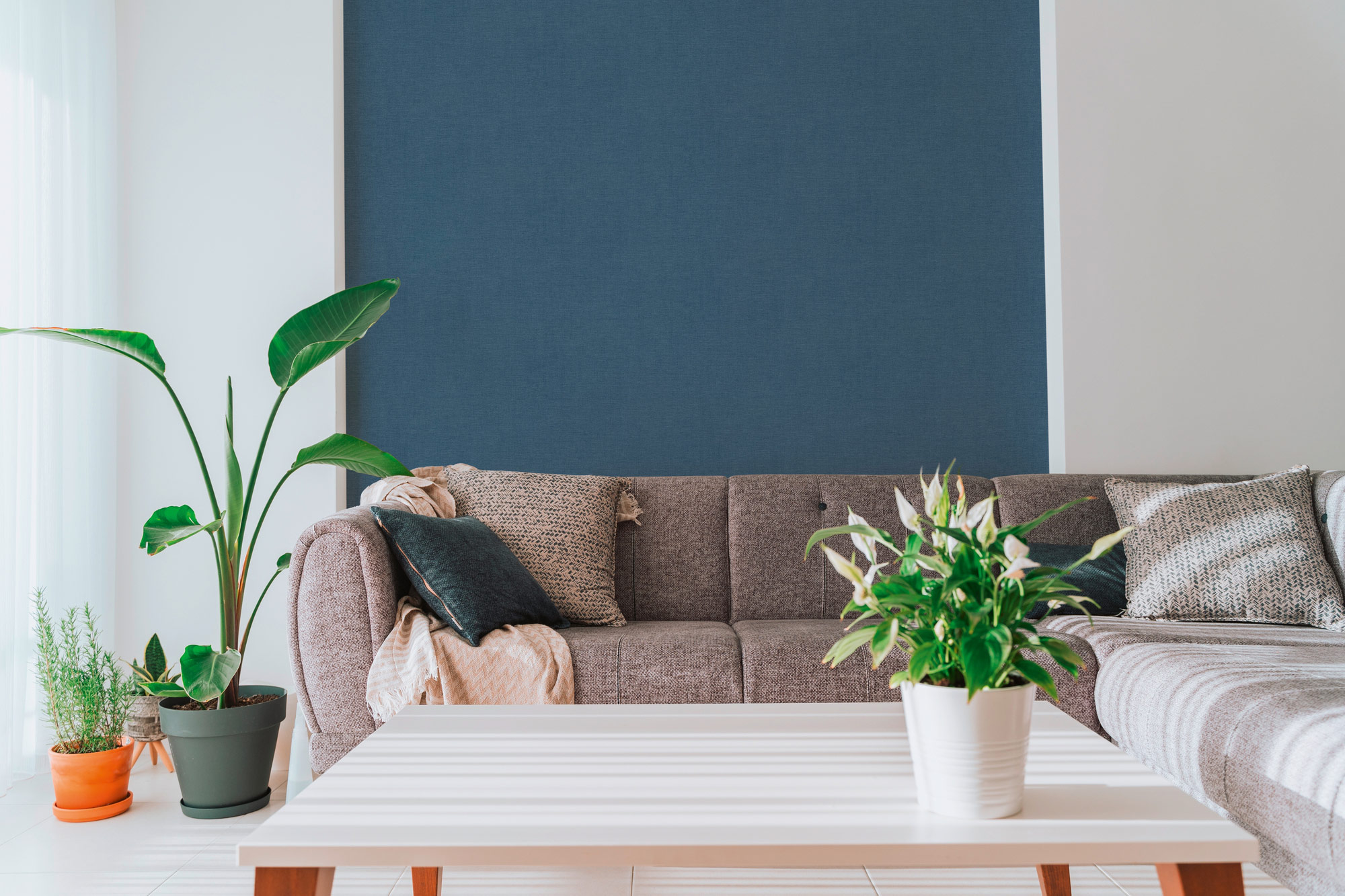 AS Vliestapete PintWalls 3 Unitapete Blau 791658