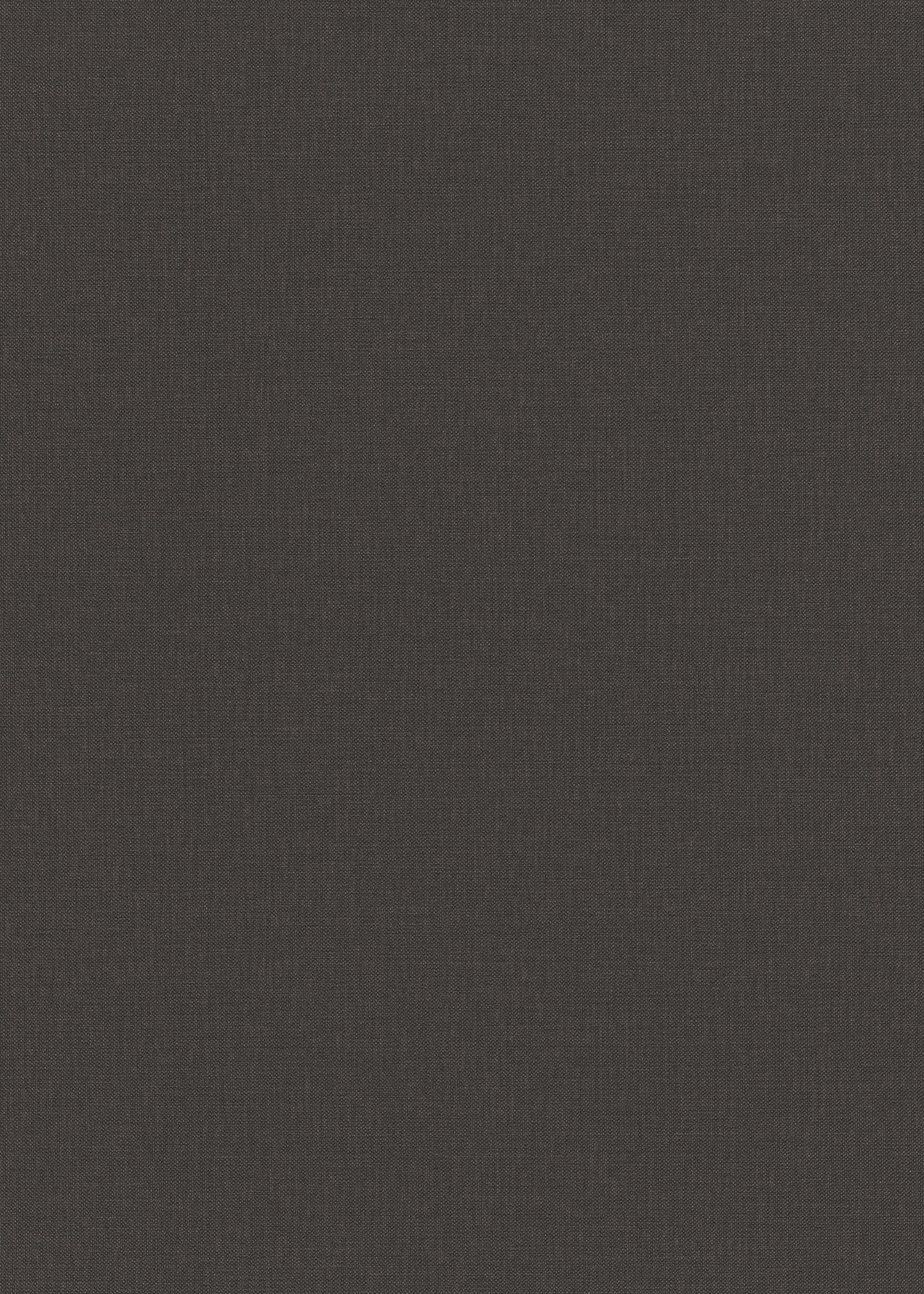 Erismann Vliestapete Elle 4 grau 1044437